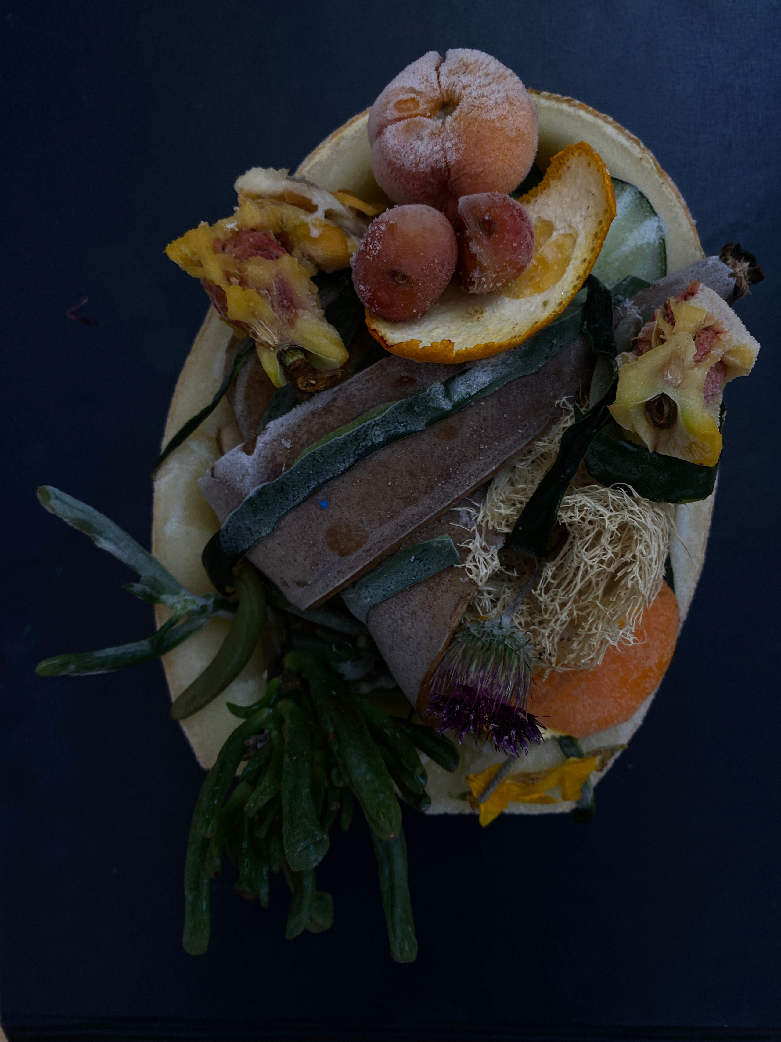 Эль Компостэ'24. Khorevali Лиза Хорева