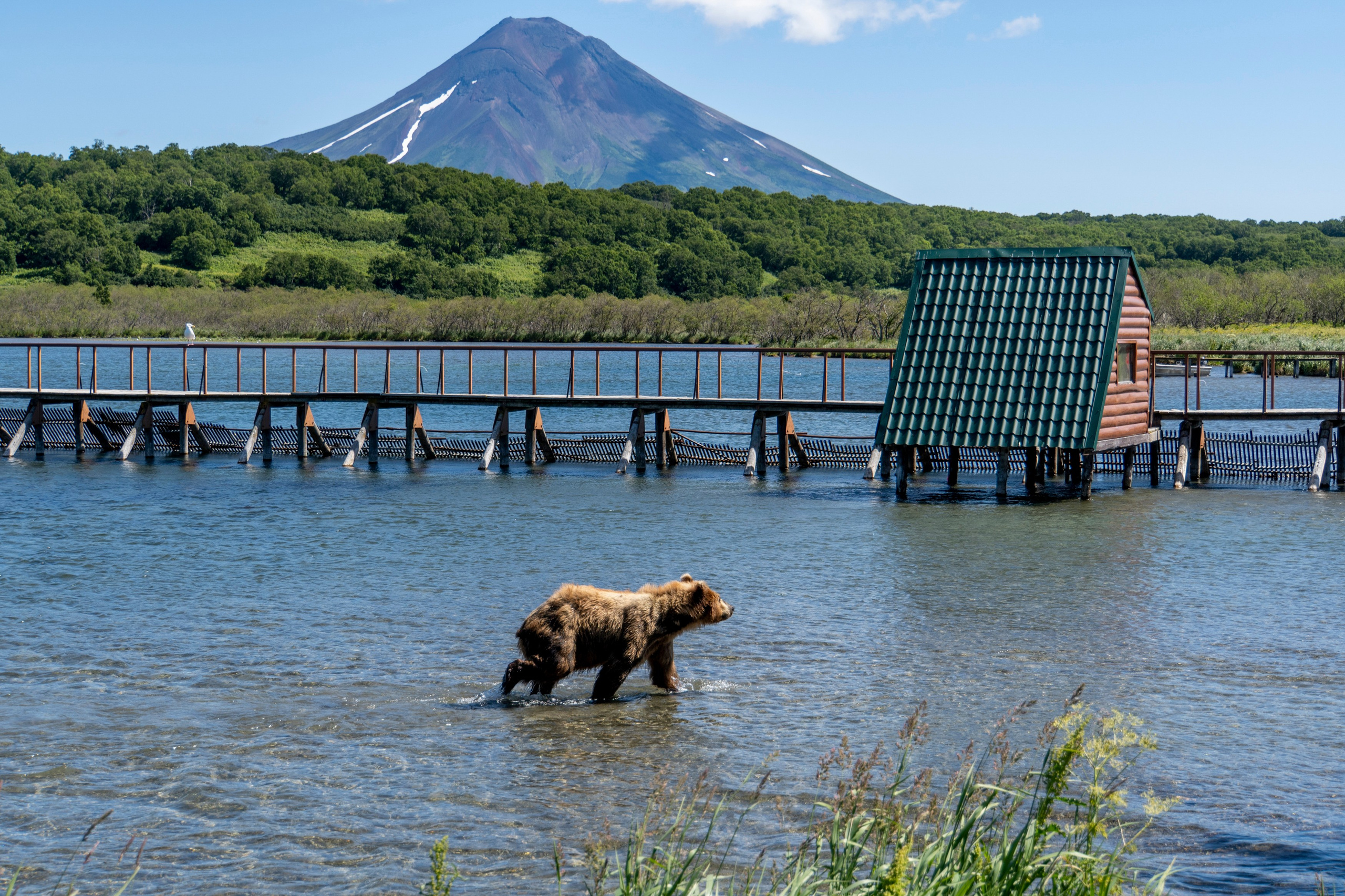 Время Камчатки — кто мы и почему влюблены в полуостров. Время Камчатки: чтобы найти свой путь, нужно скорость умножить на время