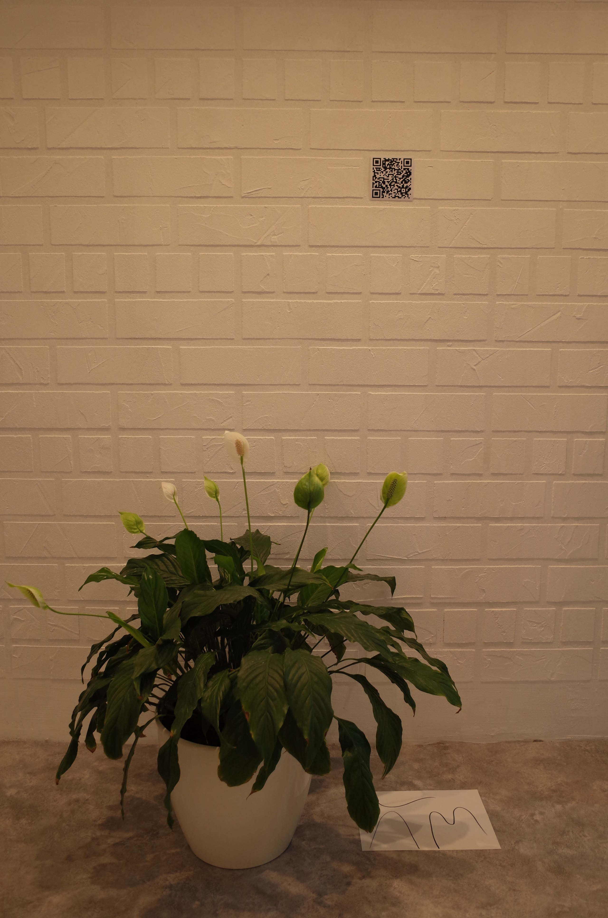 Не дома. Заказать фотосъемку | Портретный фотограф Оксана Приходько