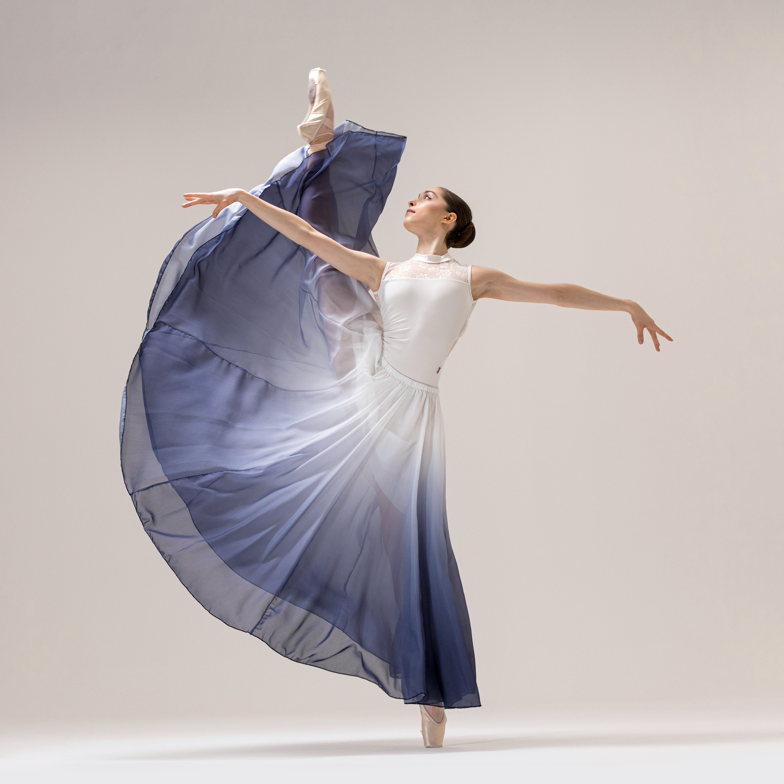 Юбка воздушная градиентная напрокат бесплатно. Балетный фотограф Алина Ханько — Душа Балета