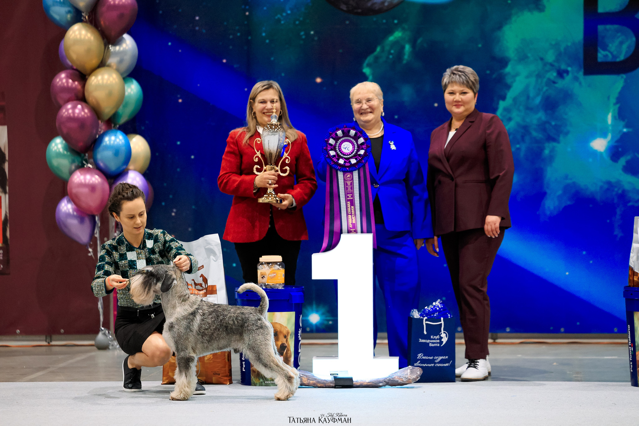 28.03.2026 Рейтинговая выставка в Новосибирске. Фотограф Анималист из Новосибирска Татьяна Кауфман