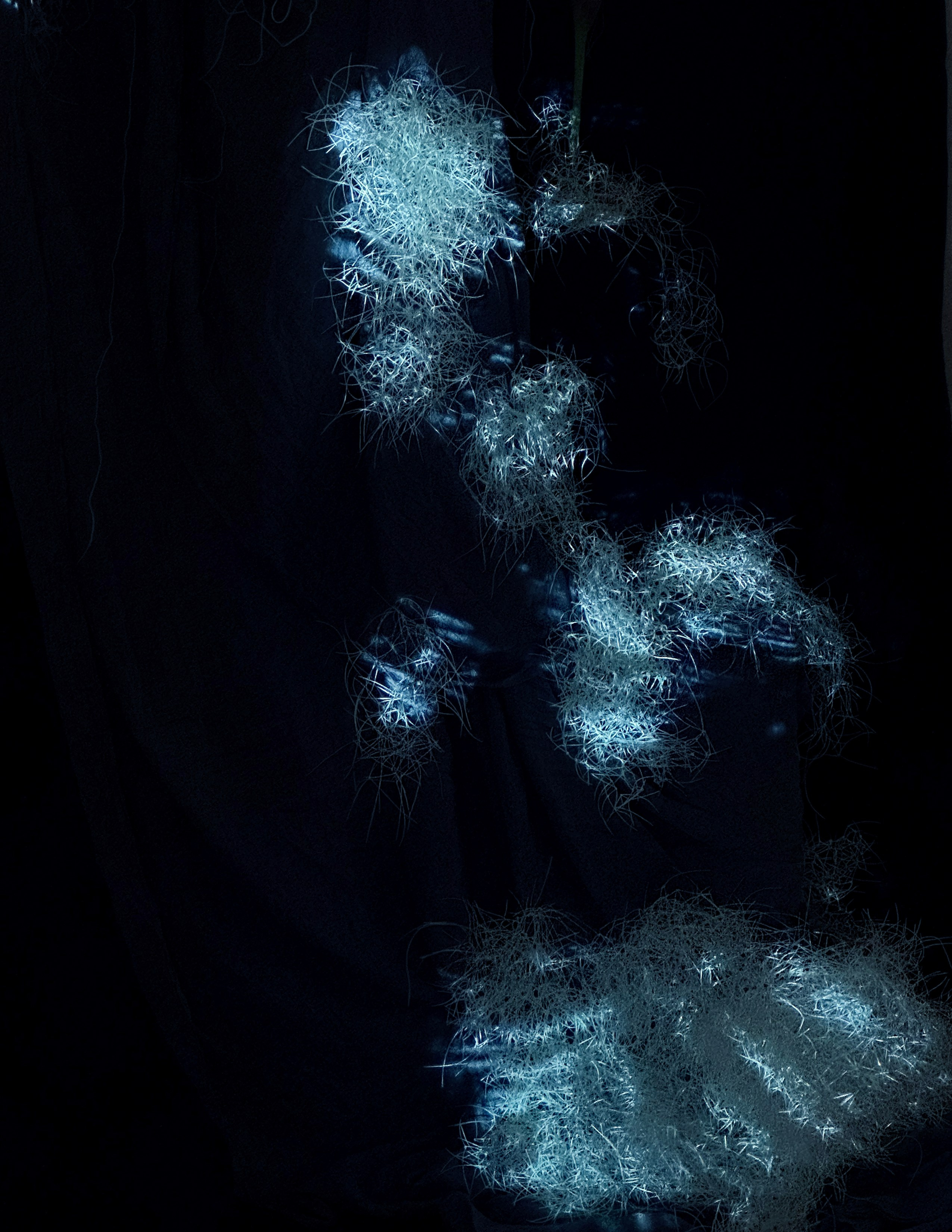 Проекты. Художественная фотография в Санкт-Петербурге Алина Берёзкина