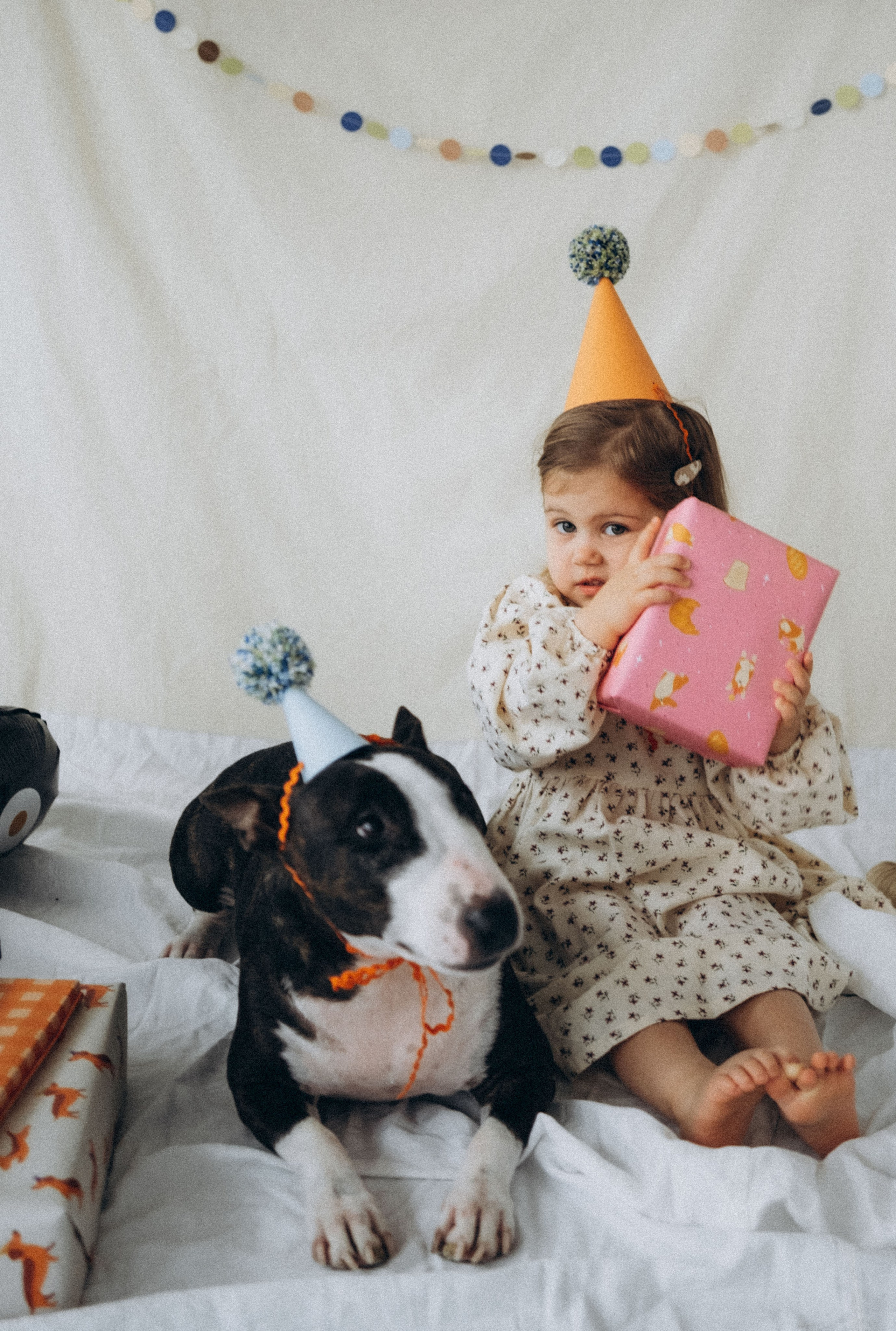 Семейный фотограф и анималист в Москве Анна Иванова
