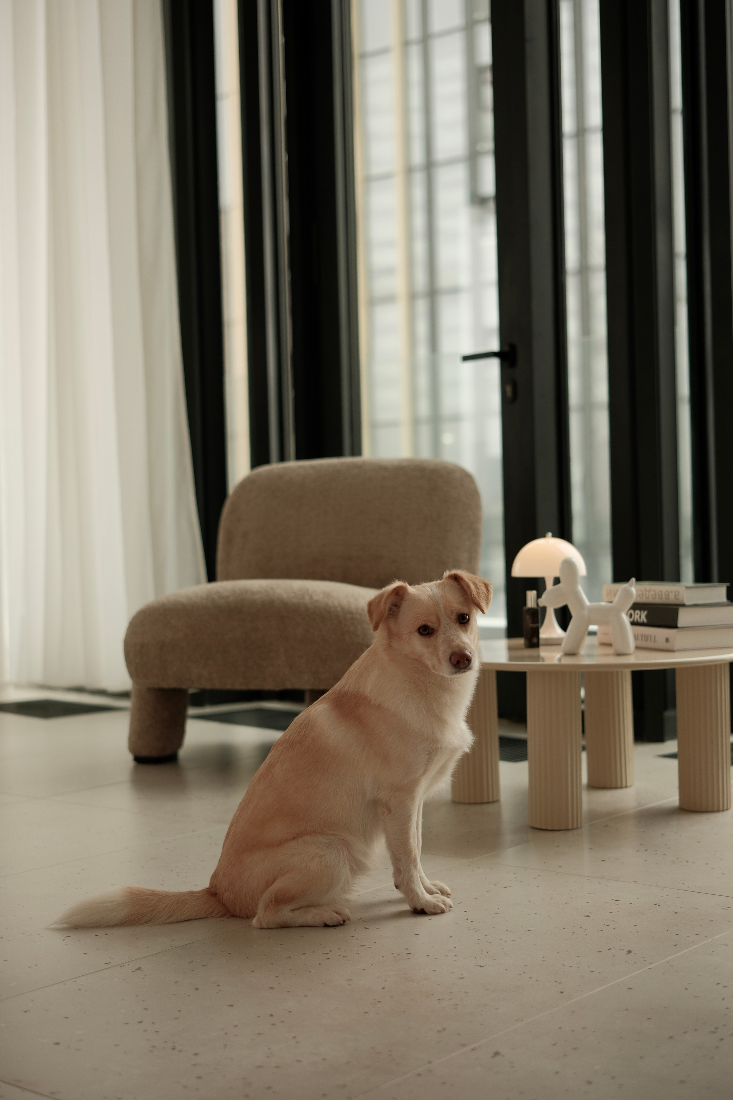 Слава с главной. Фотостудия Jam