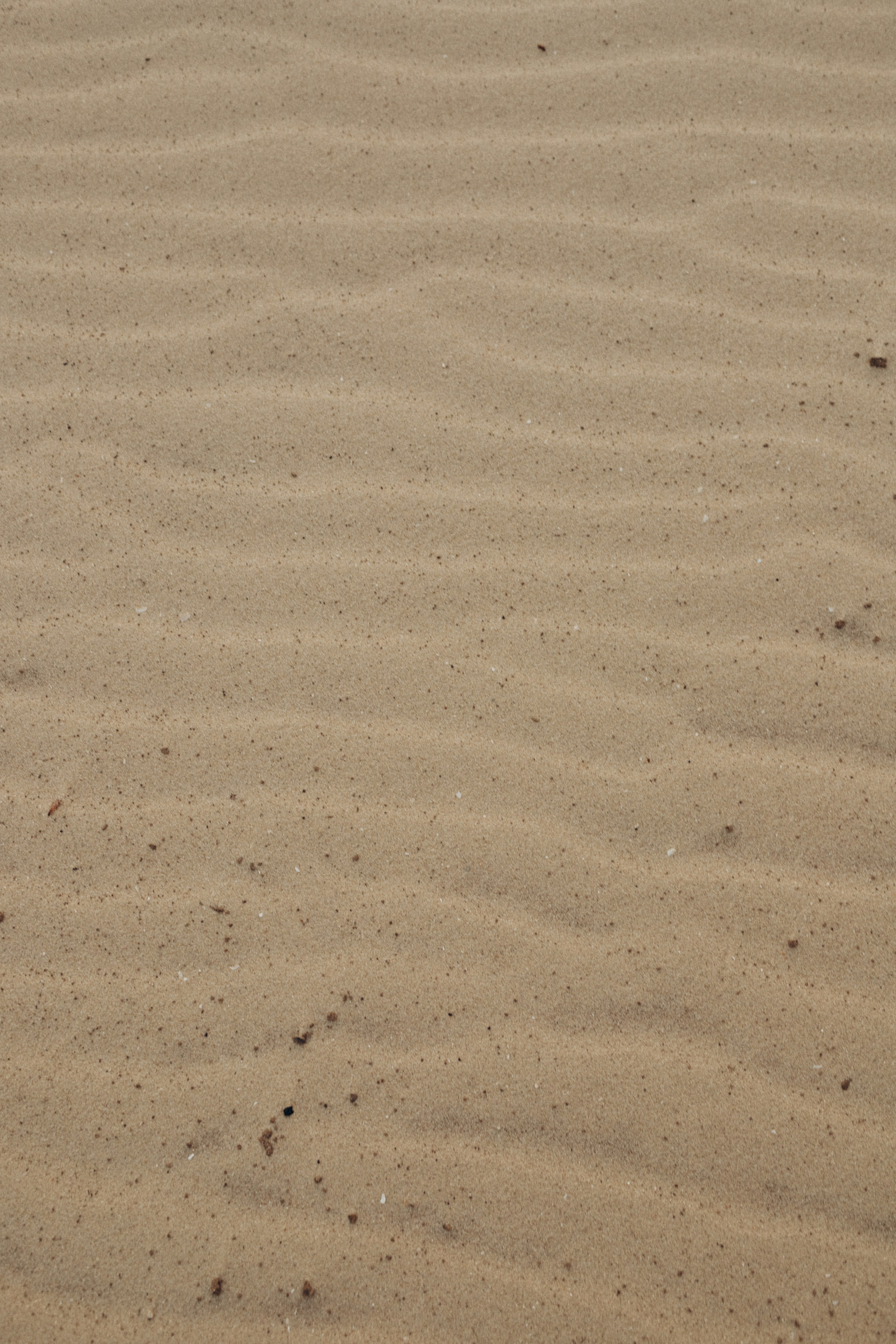 Настя И Мира. Свадебный и семейный фотограф в Таганроге Козлова Анна