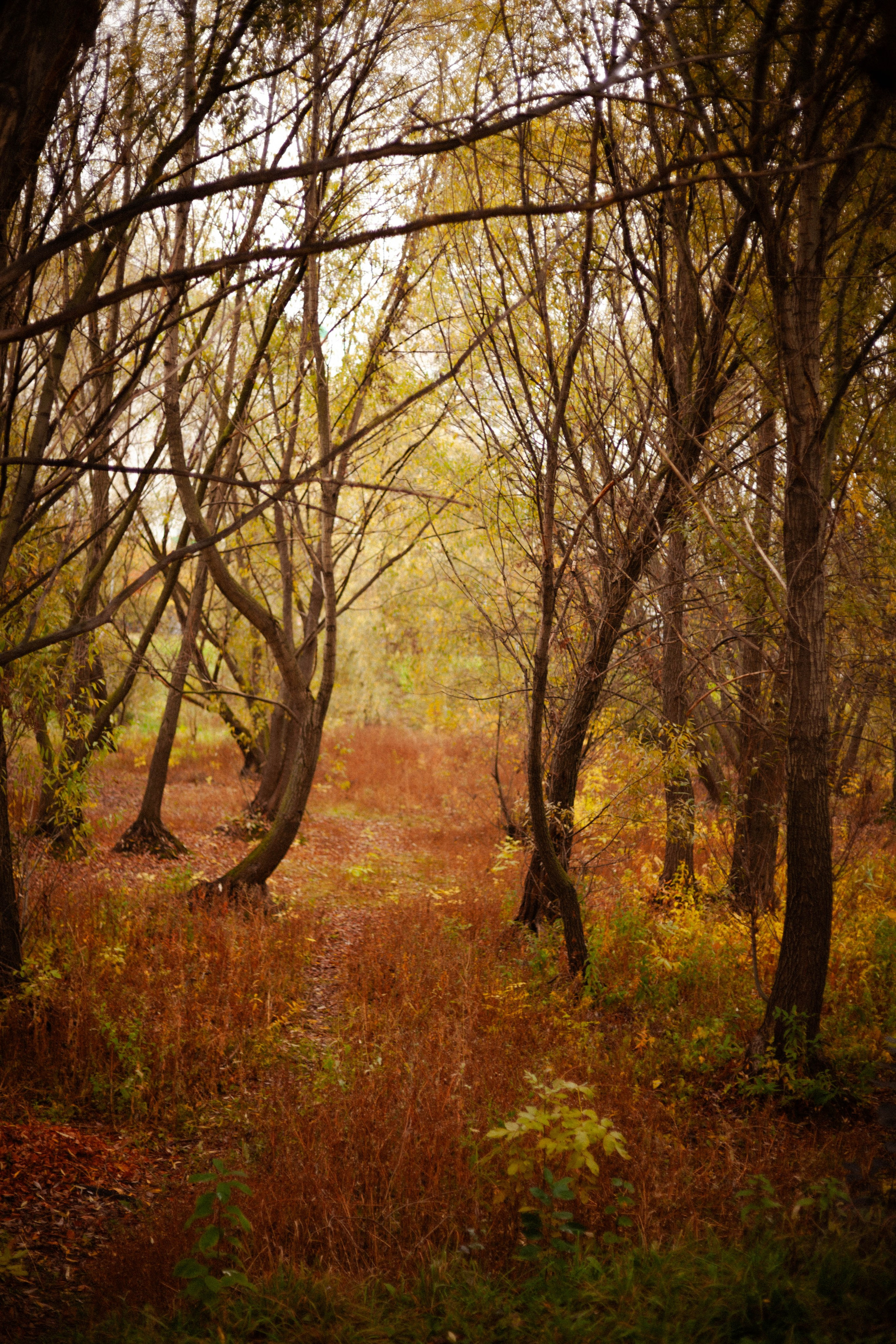 Фотограф в Москве. Екатерина Митина