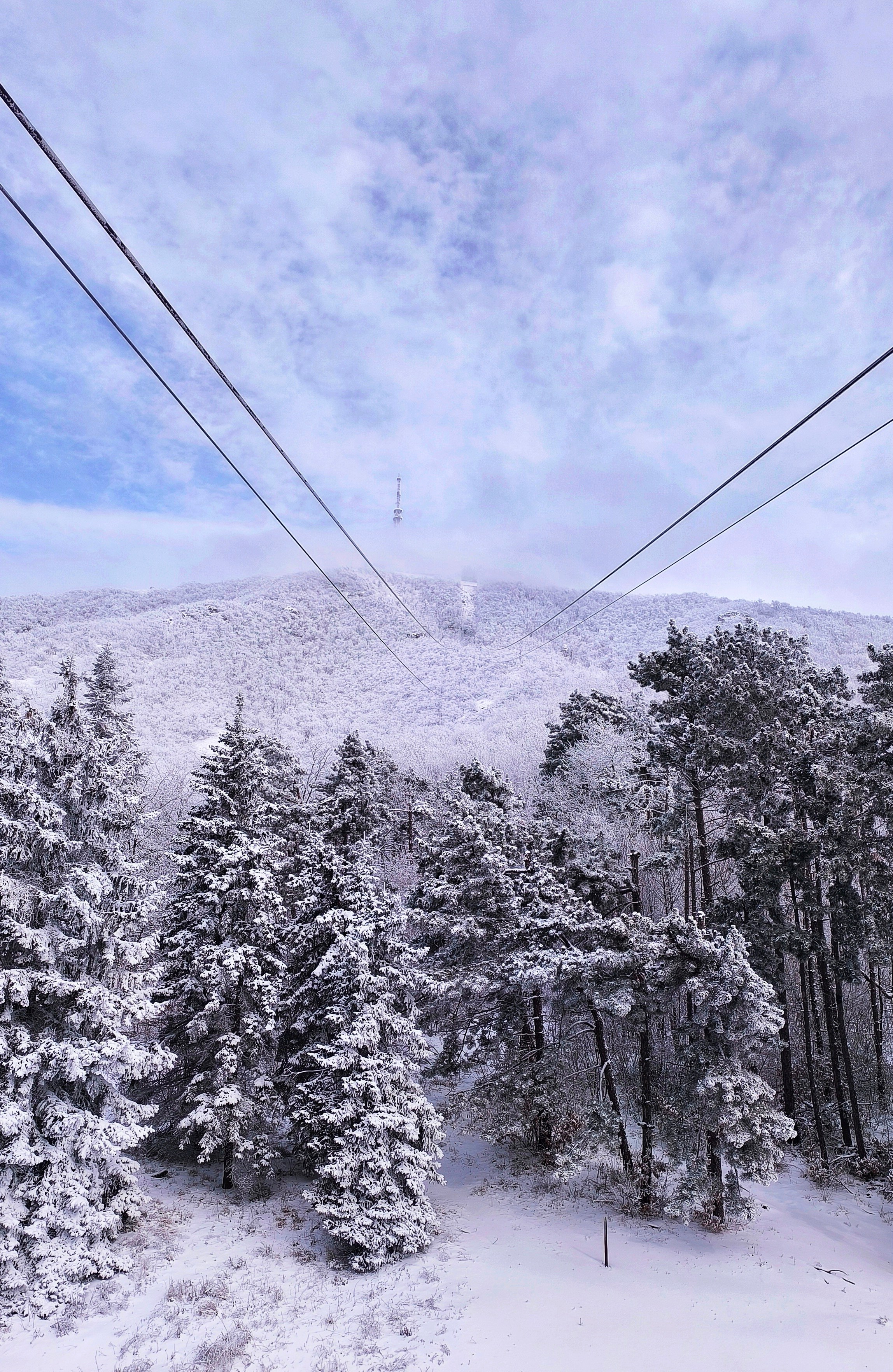 По-настоящему зимний Пятигорск. Фотосайт Андрея Прокопенко