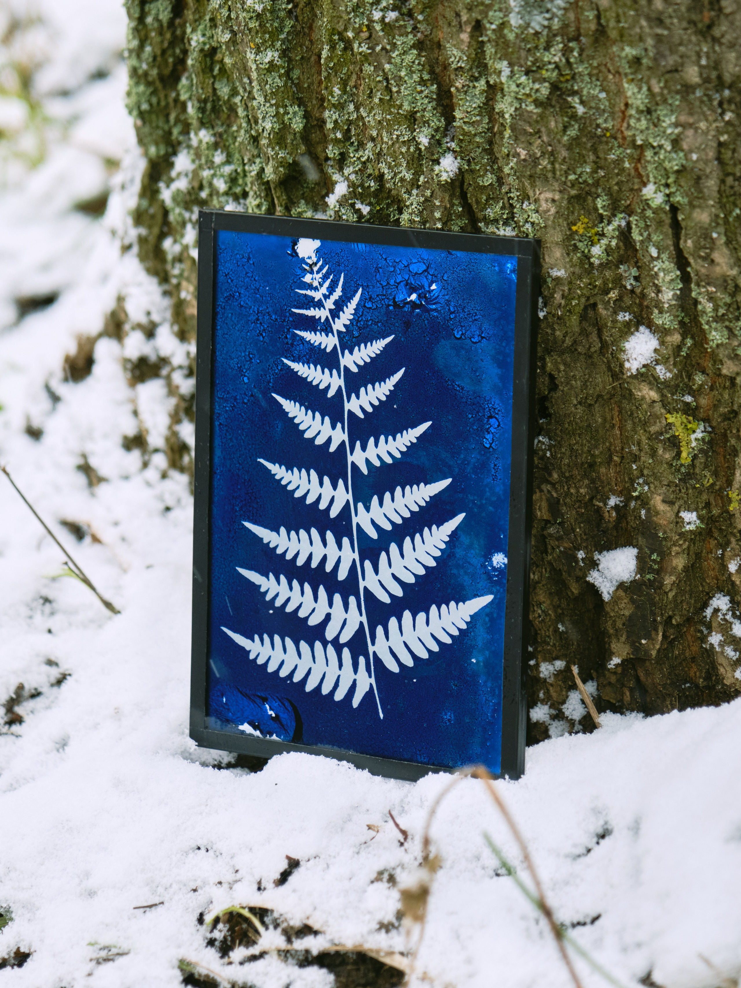 Alternative processe. Maria Norden