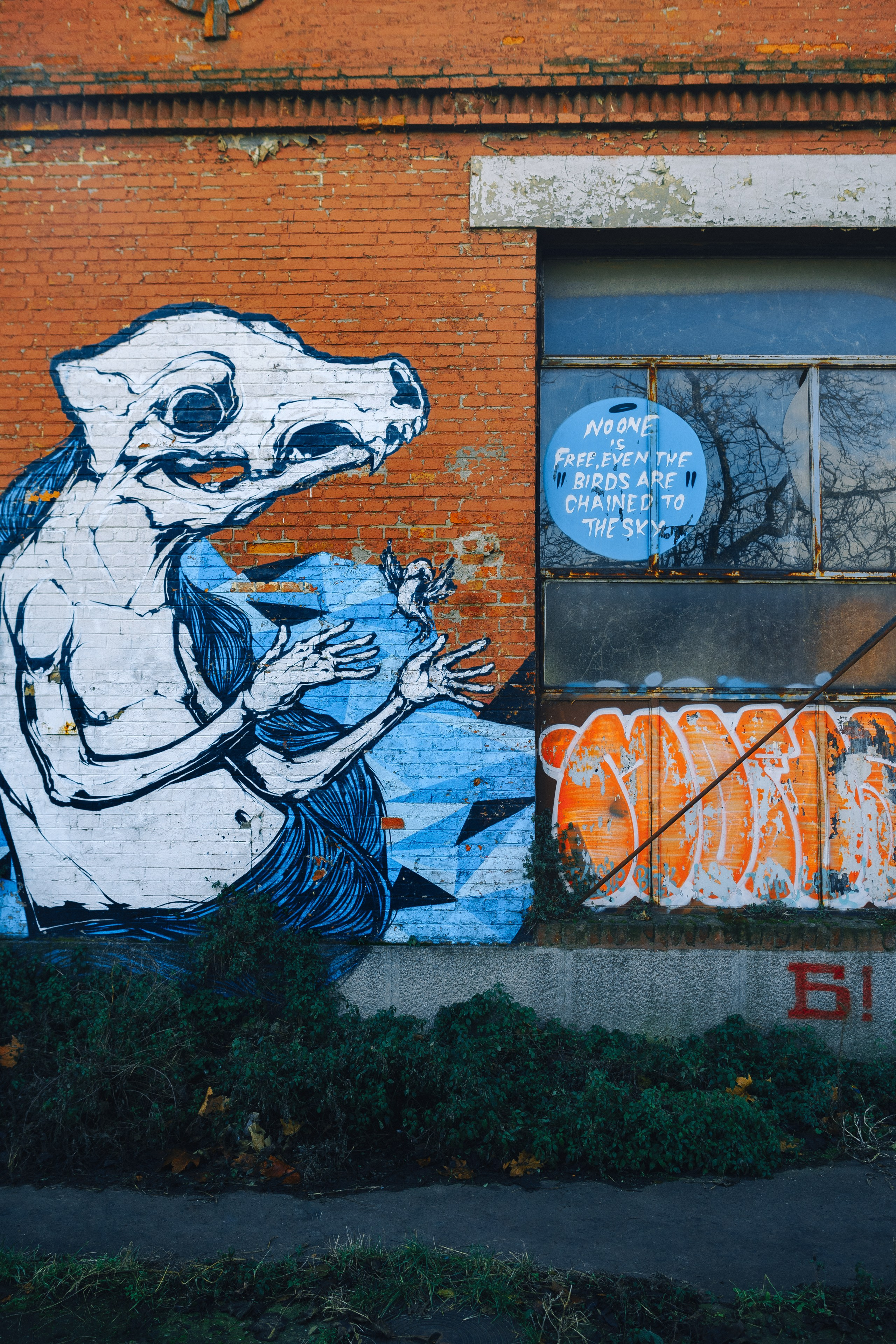 Canvas Aesthetics. Oleg Kozachok — Photographer with Protanopia | Portraits, Texture & Light