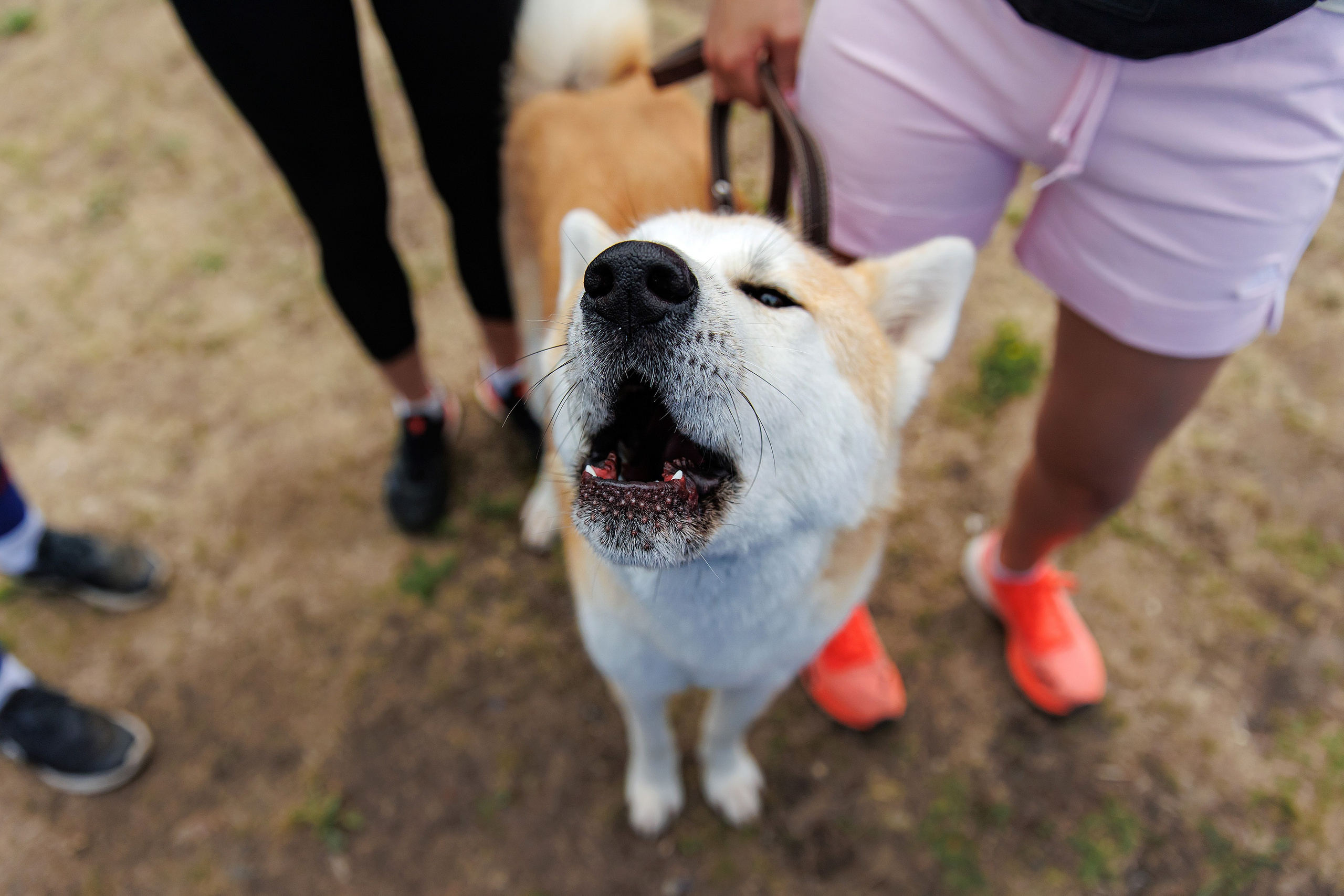 Фотограф Сергей Колесников