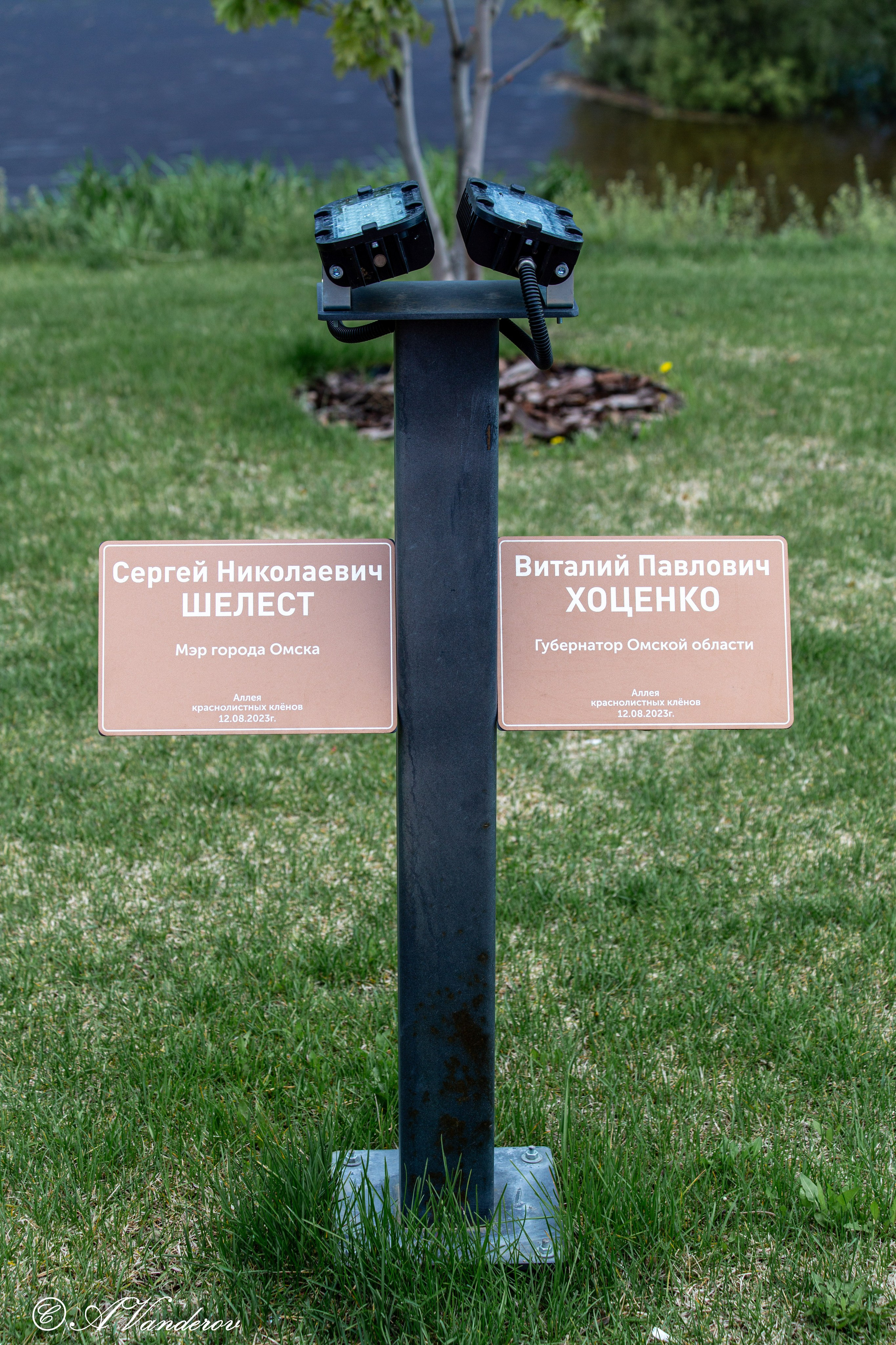 Прогулка 22.05.2024. Фотограф Омск | Александр Вандеров