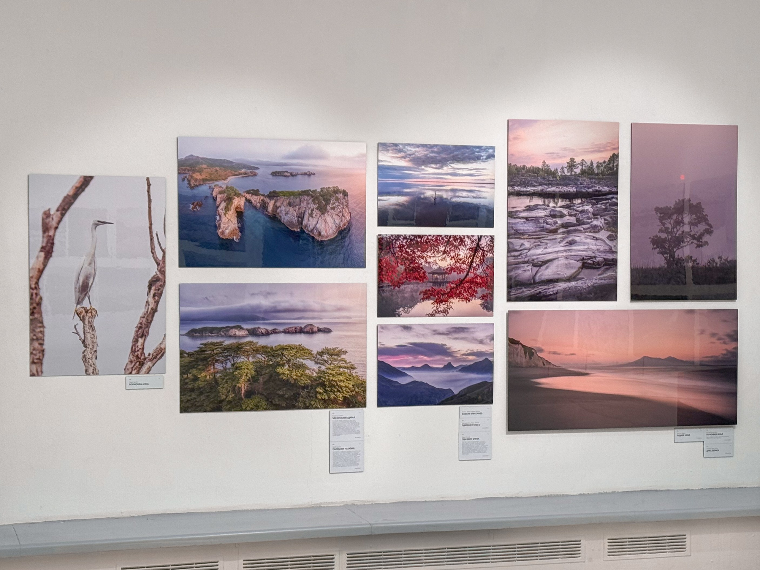 Награды. Andrew Gusarov Nature Photography