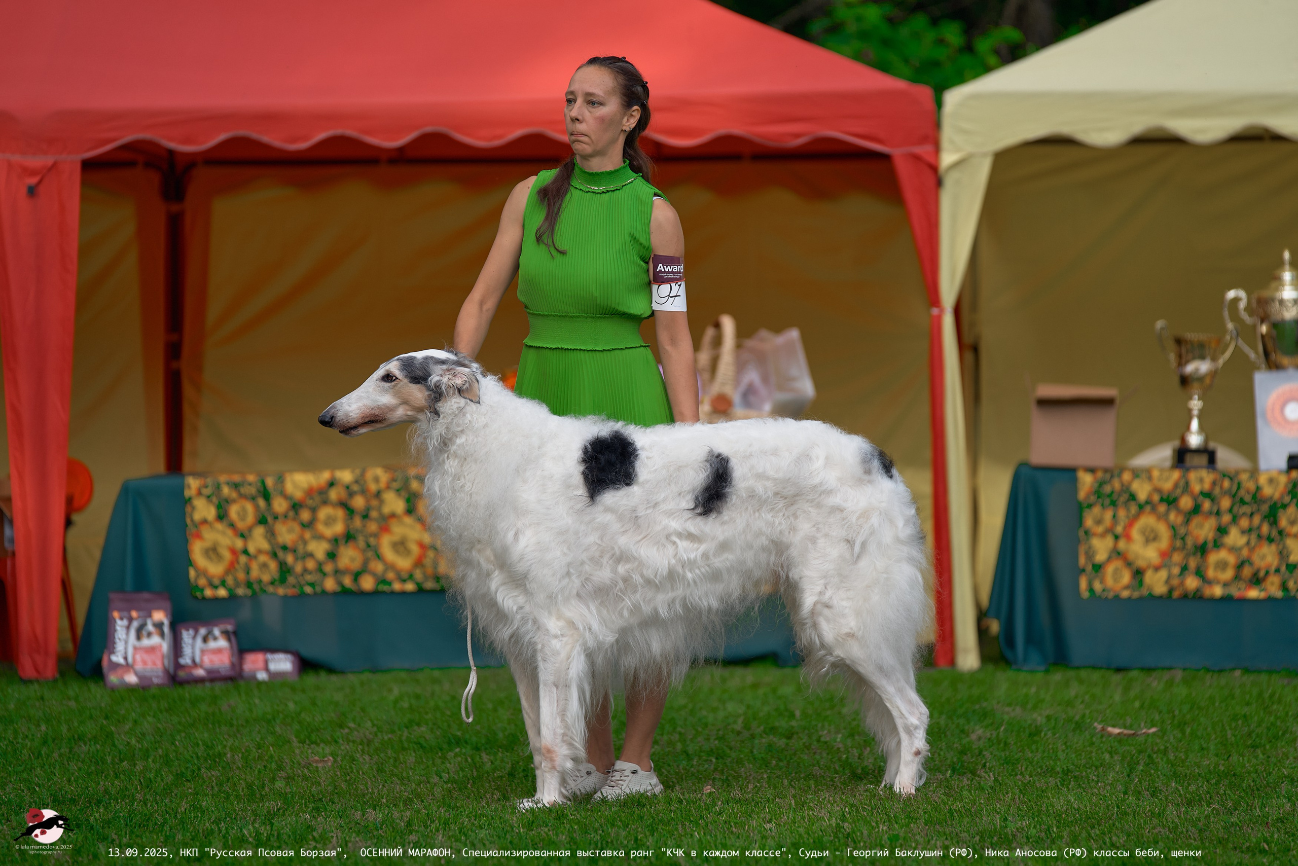 ОСЕННИЙ МАРАФОН | Специализированная выставка породы Русская Псовая Борзая ранг "КЧК в каждом классе"