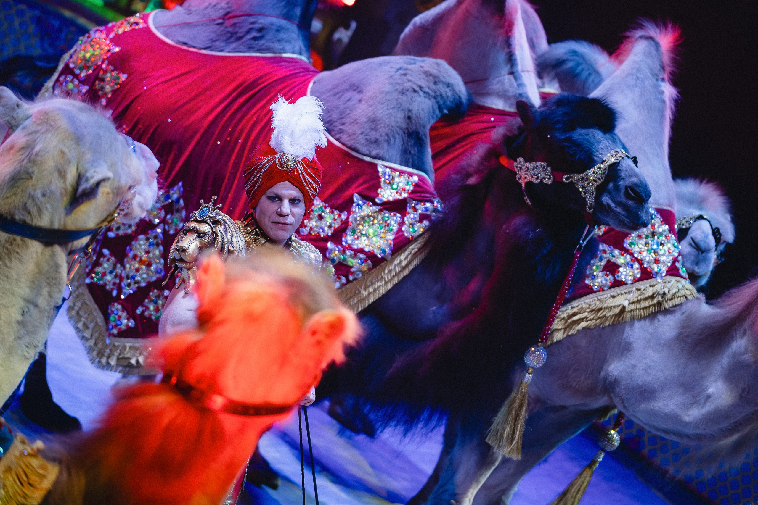 Пресс-показ шоу «Песчаная Сказка». Воробьева Ксения — Спортивный и танцевальный фотограф Новосибирск