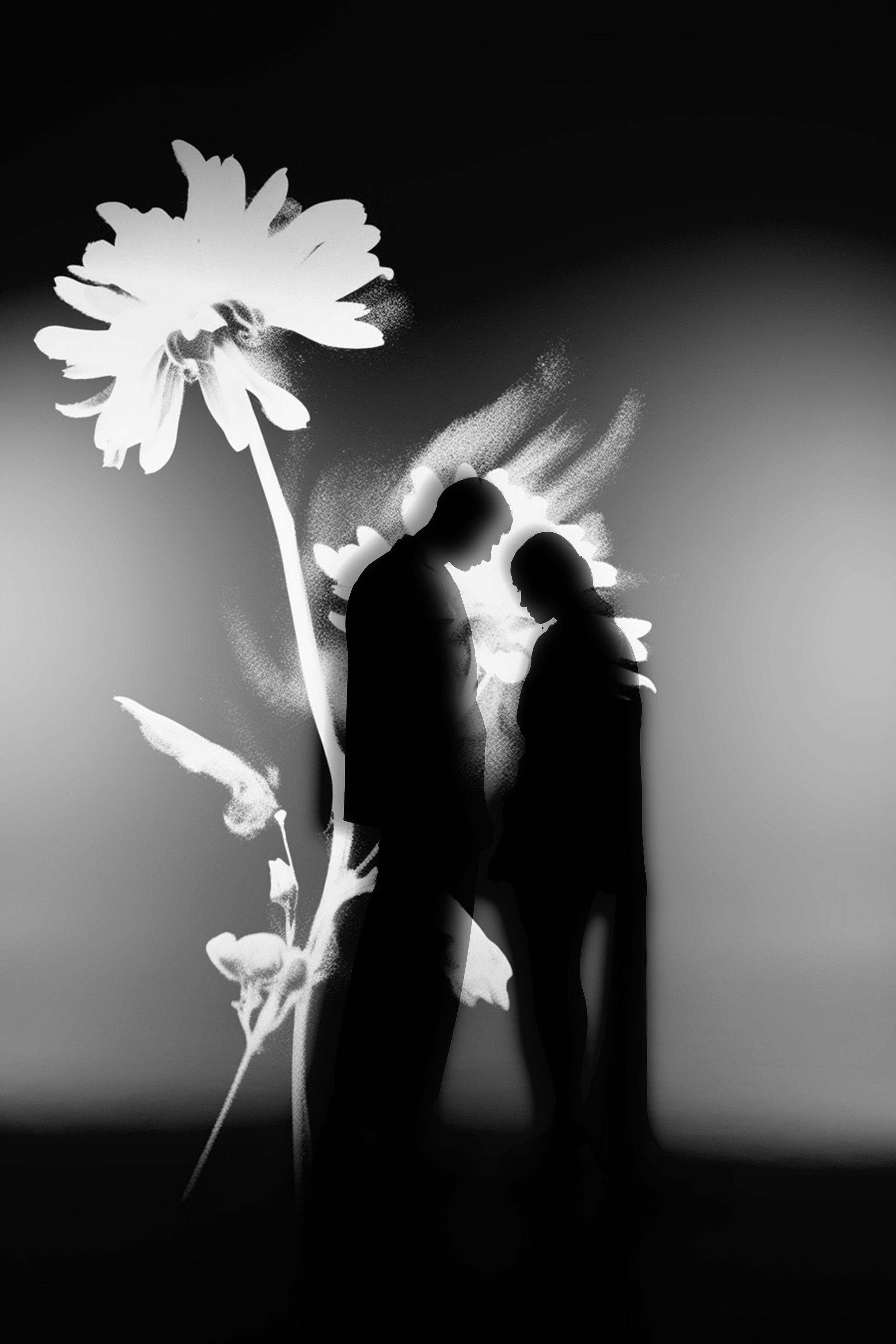 Свадебный фотограф. Краснодар, Сочи, Новороссийск. Вадим Мерье