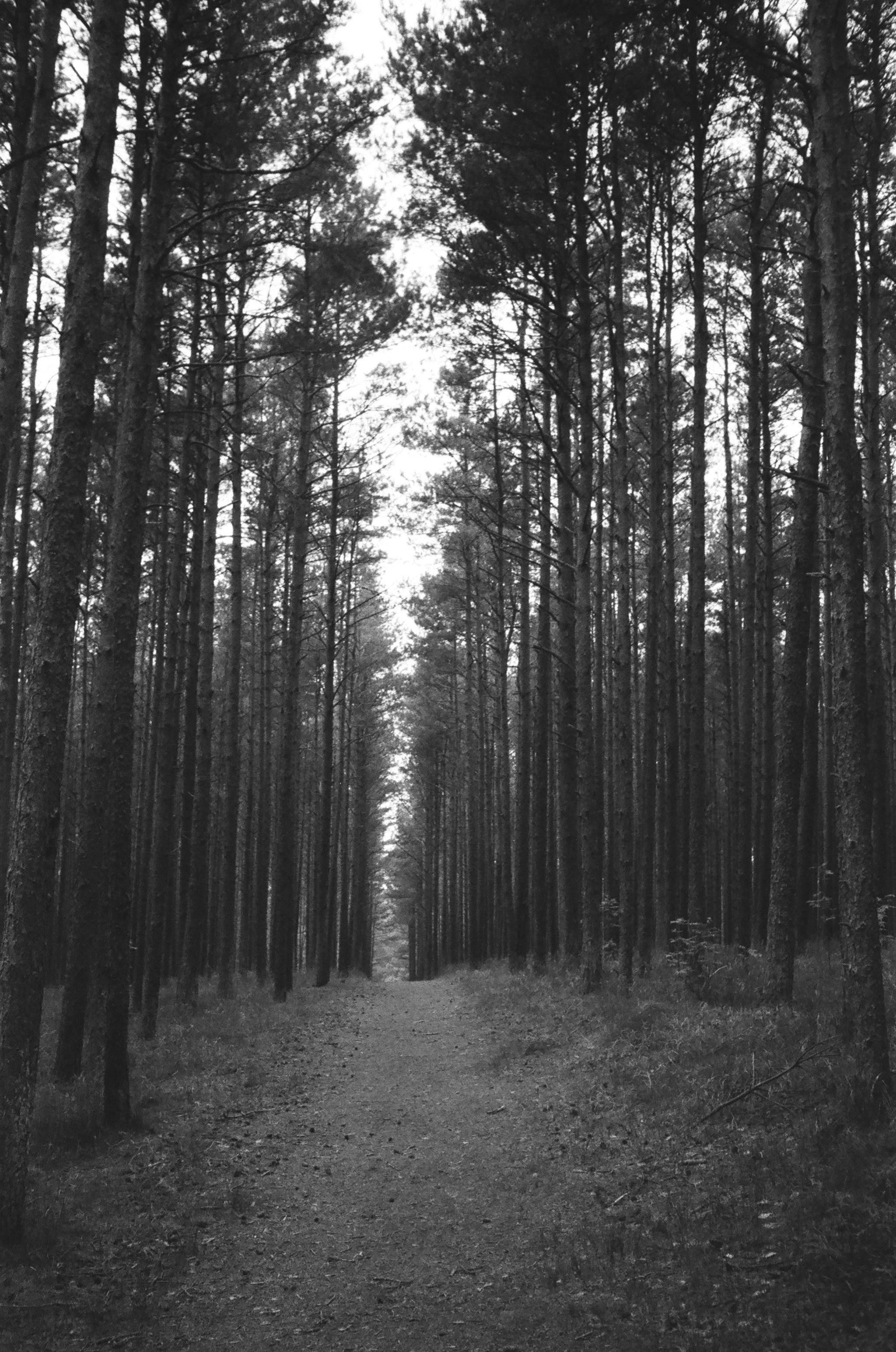 Калининград. Фотограф Севастополь, Крым. Портретный и репортажный фотограф Коваленко Антонина