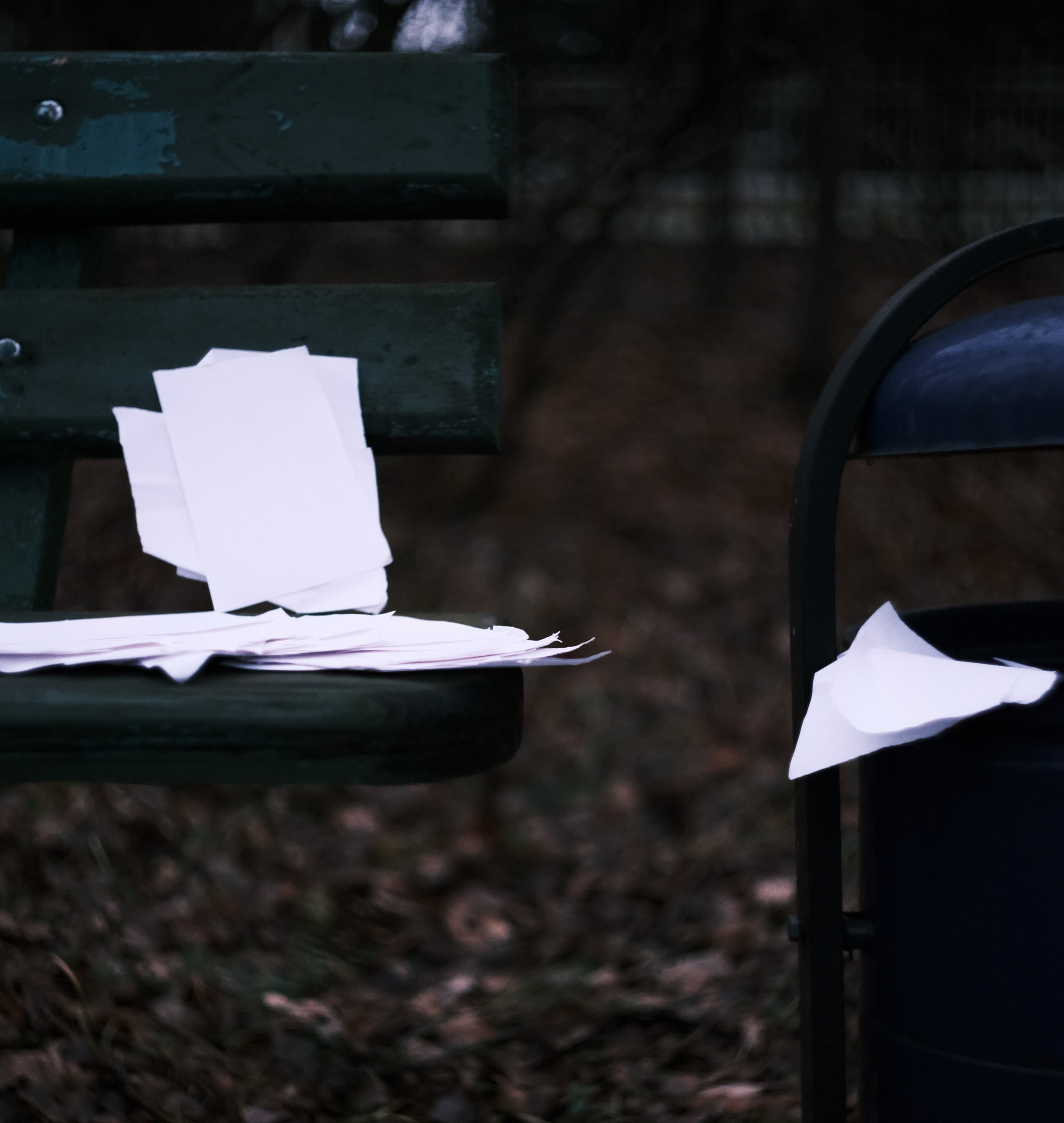 Стихи в поэтов летающие по усадьбе