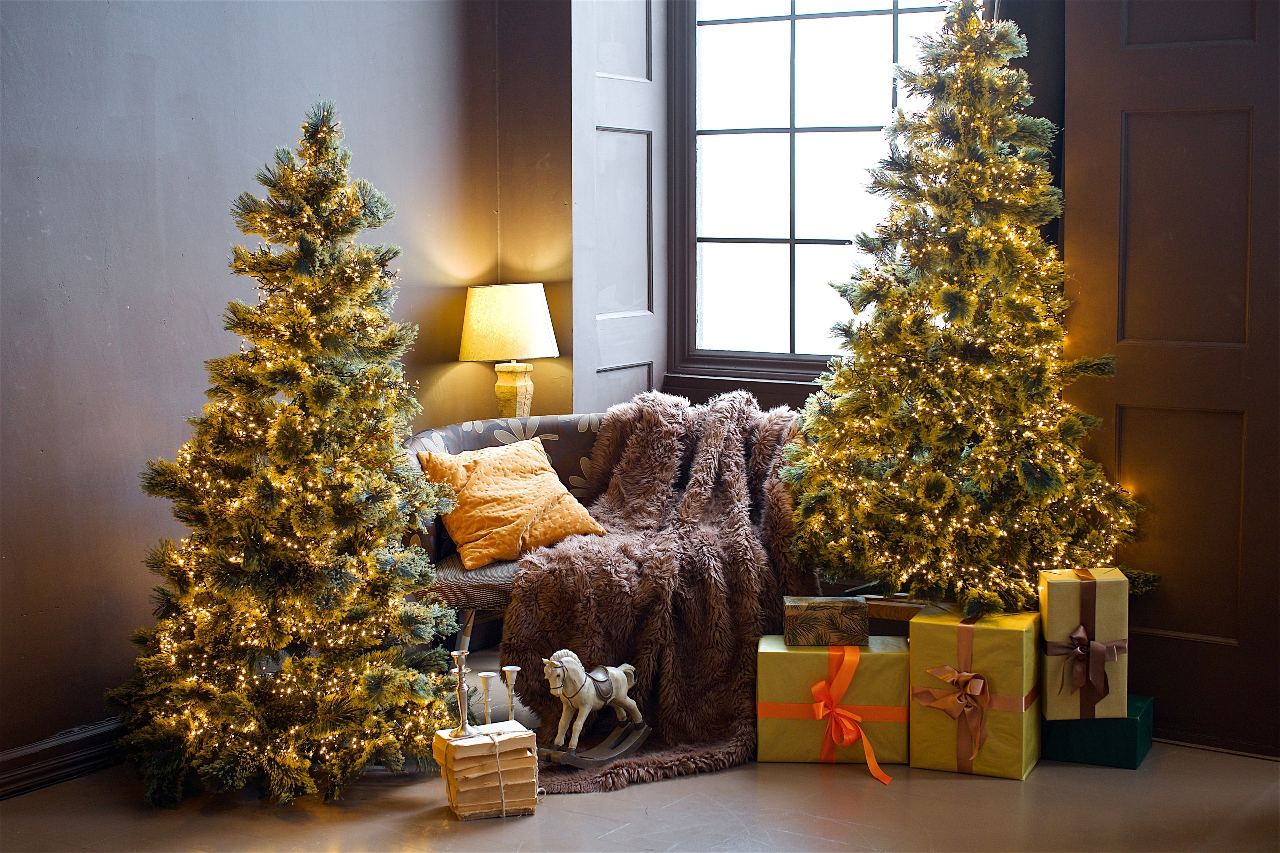 8 января — Рождественский Фотодень. Семейный фотограф Марья Тен. Москва, Зеленоград, Химки, Сходня