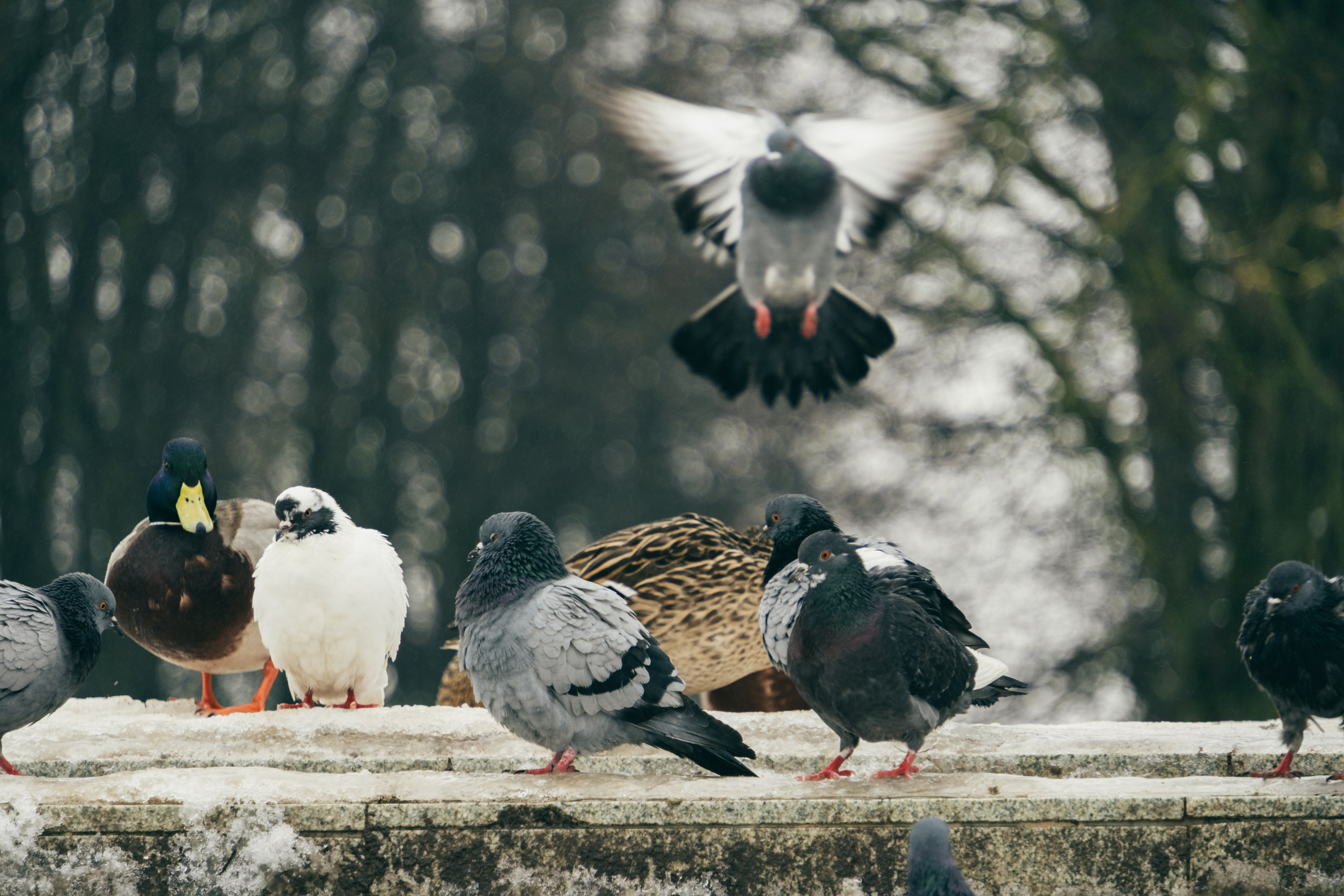 Великий Новгород моими глазами. Детский, семейный и ньюборн фотограф в Москве Юлия Шуарт