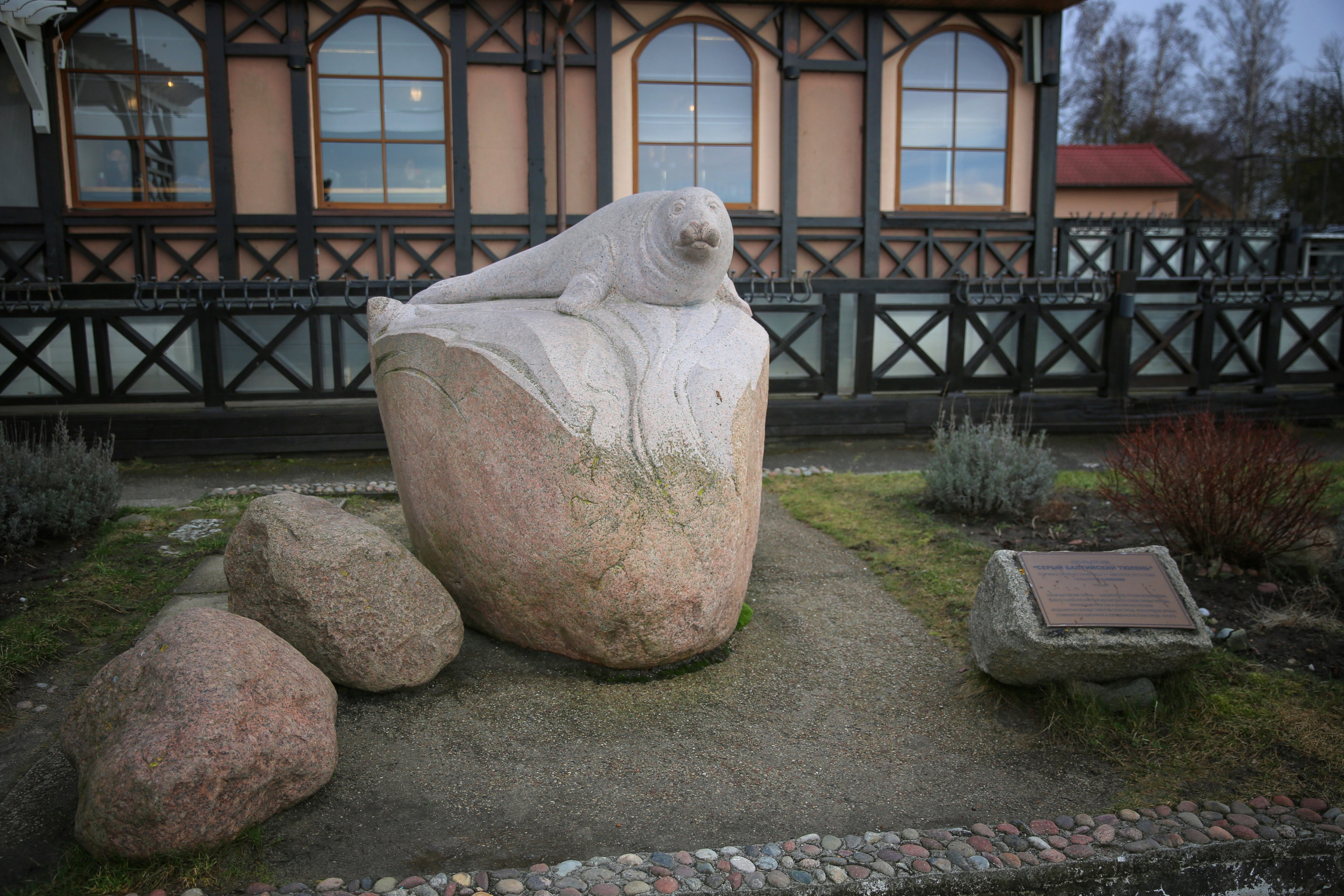 «Серый балтийский тюлень» — это жанровая скульптура, расположенная на променаде в Зеленоградске. Она изображает серого балтийского тюленя, который лежит на берегу и греется на солнце. Гранитный памятник обитателю балтийского моря. Автор В. Ковалев.