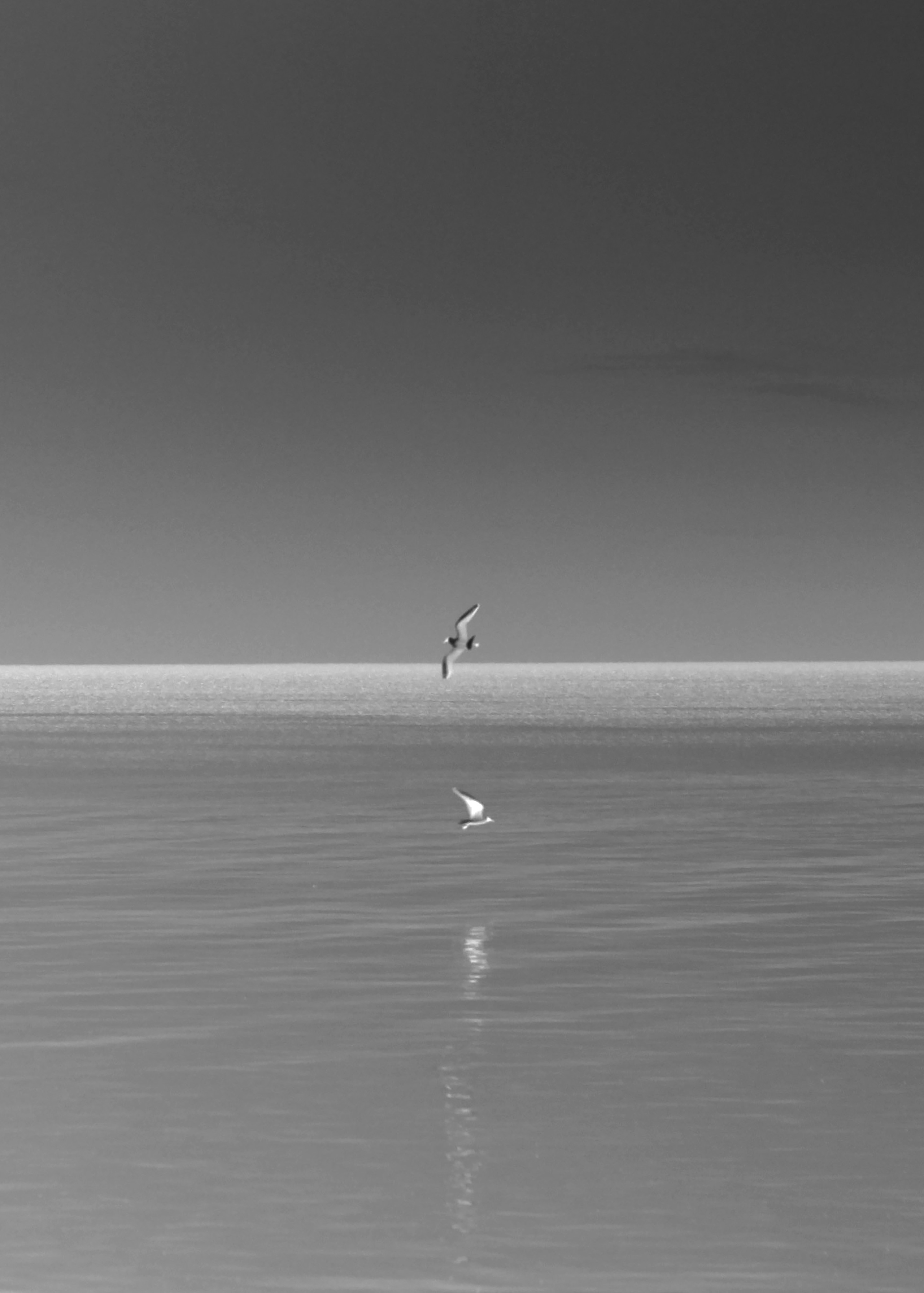 Сокровенное. Фотограф Алла Добровицина