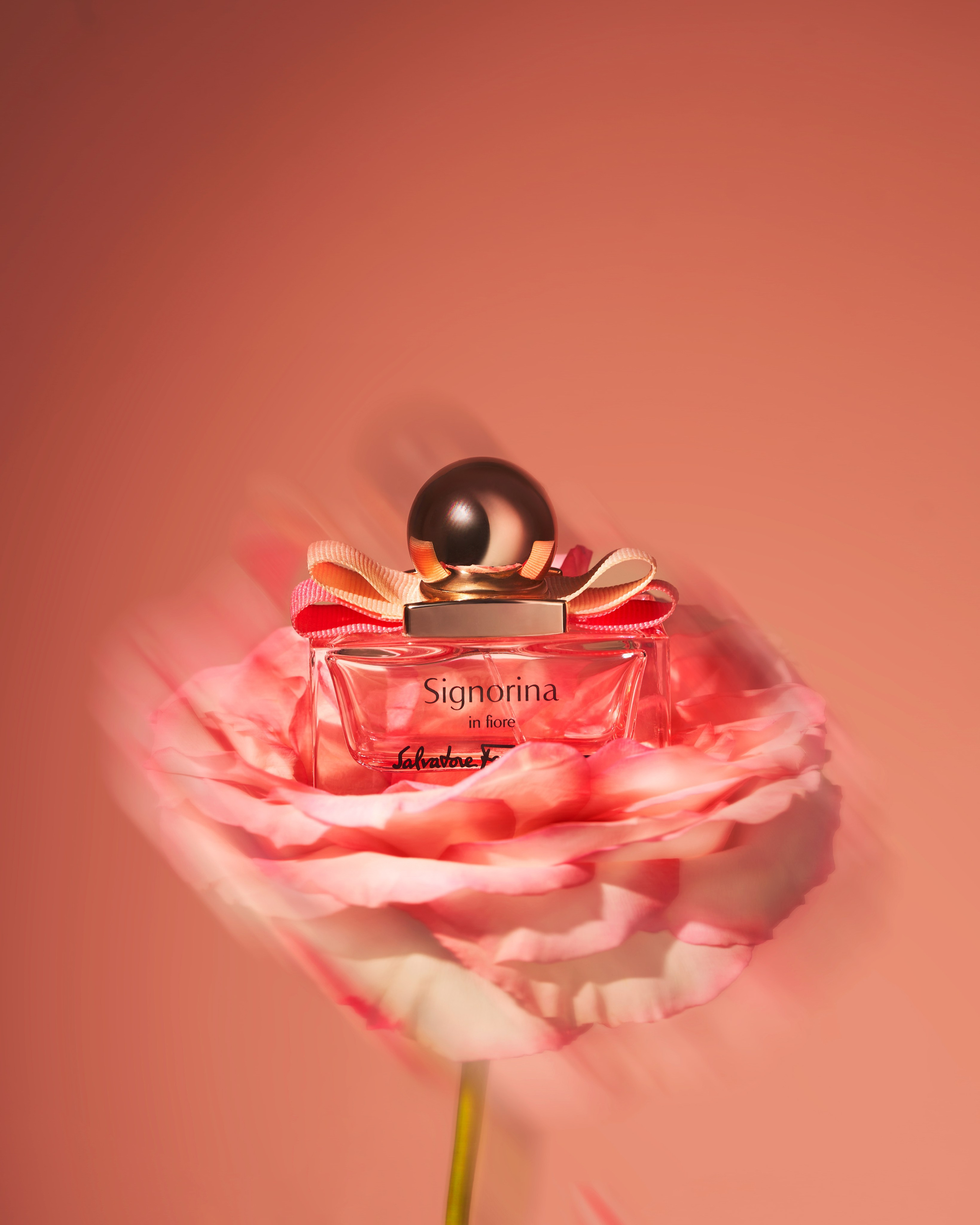 Предметный и фуд фотограф в Алматы Галина Лимит