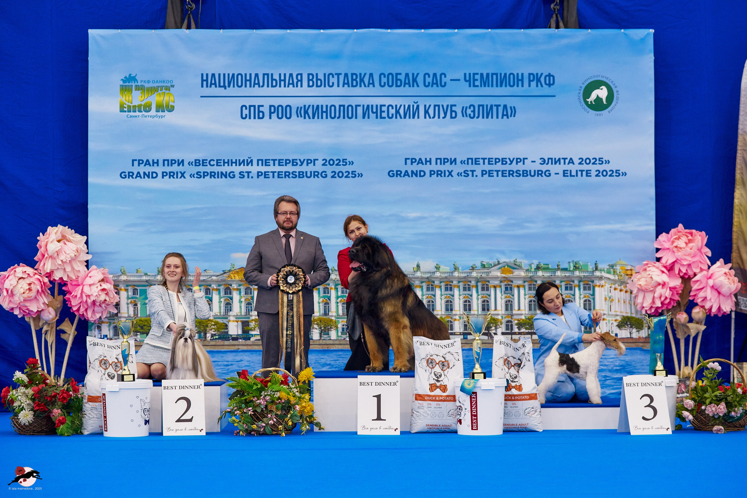 ГРАН ПРИ «ВЕСЕННИЙ ПЕТЕРБУРГ» & «СУПЕР КУБОК «ЭЛИТЫ»-2025»