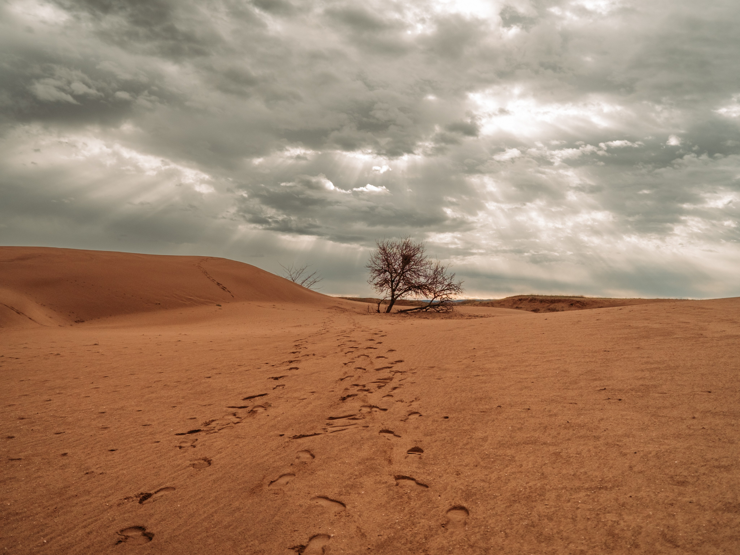 Худший фотограф из Чеченской республики!