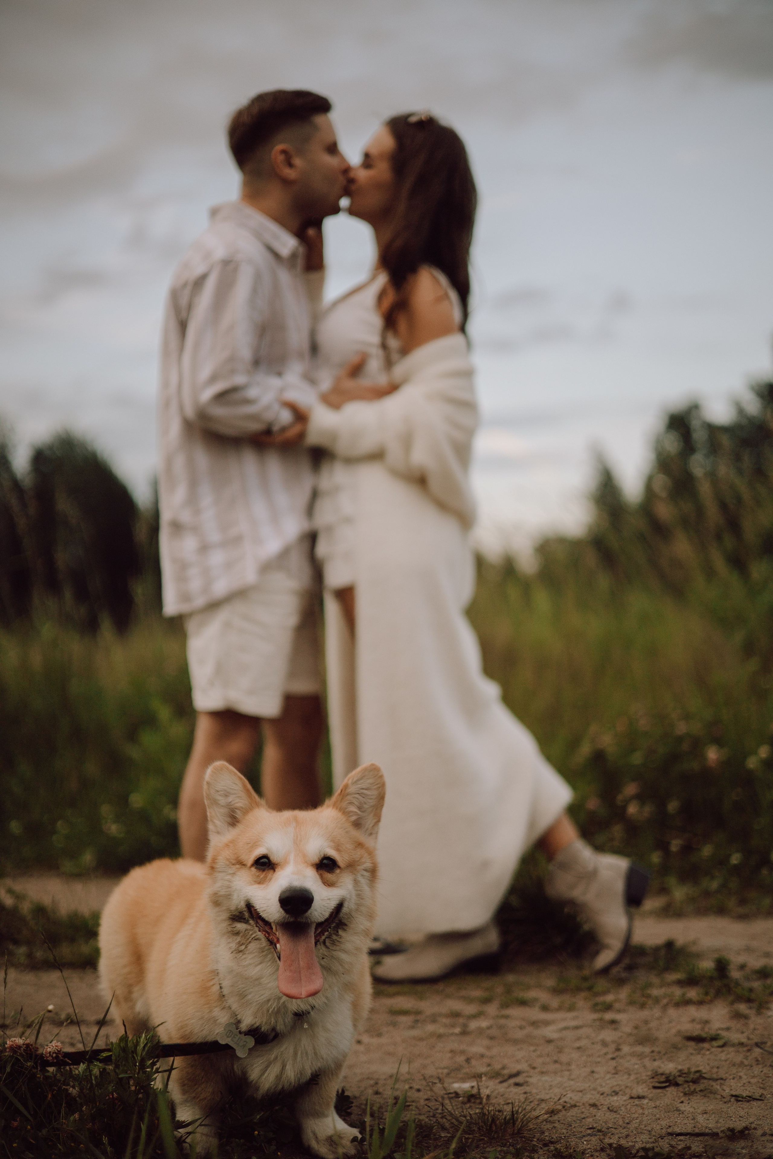 Фёдор и ребята. Фотограф — анималист •love-story•|Санкт-Петербург