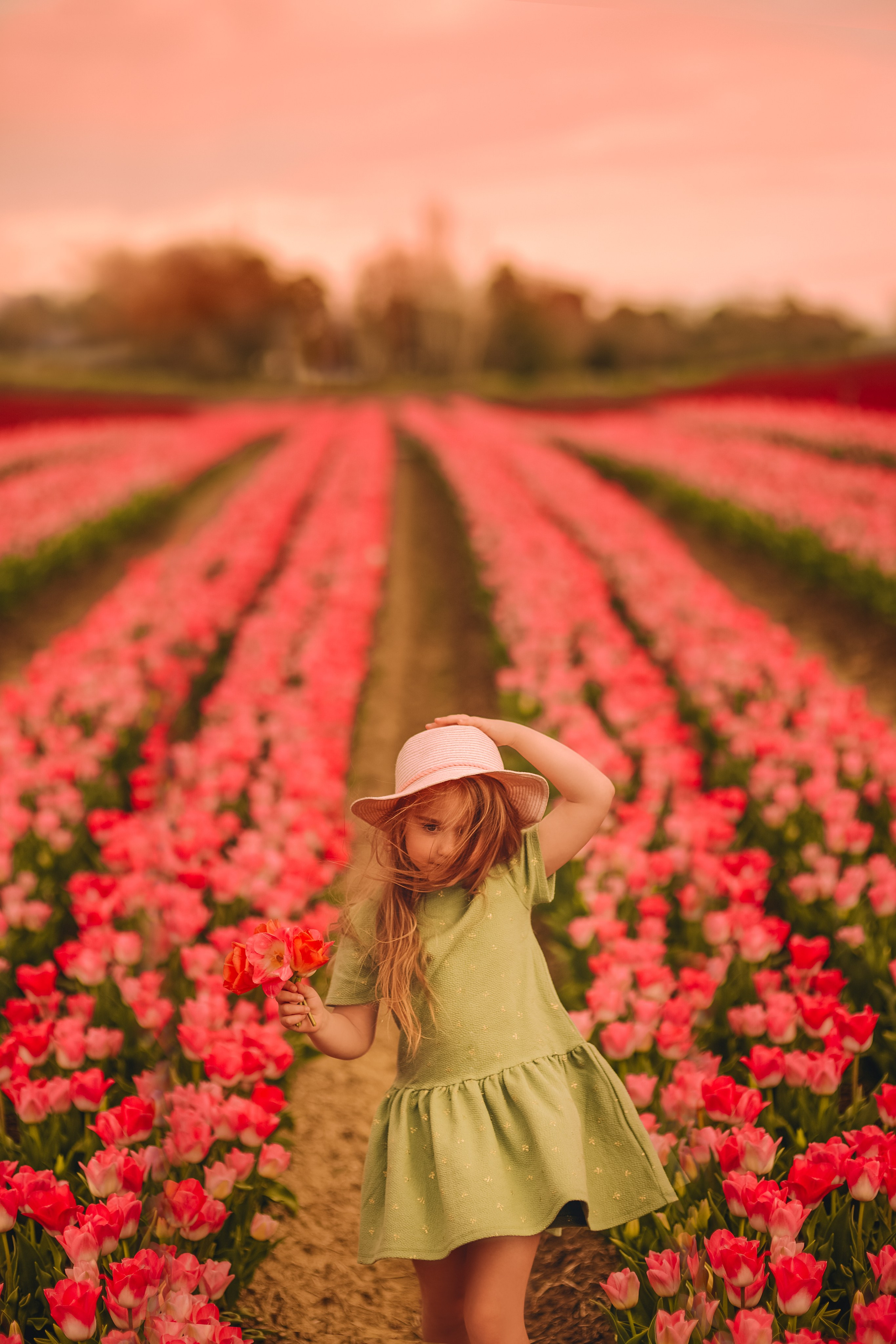 Provence. Photographer in Provence Julia Lipiainen