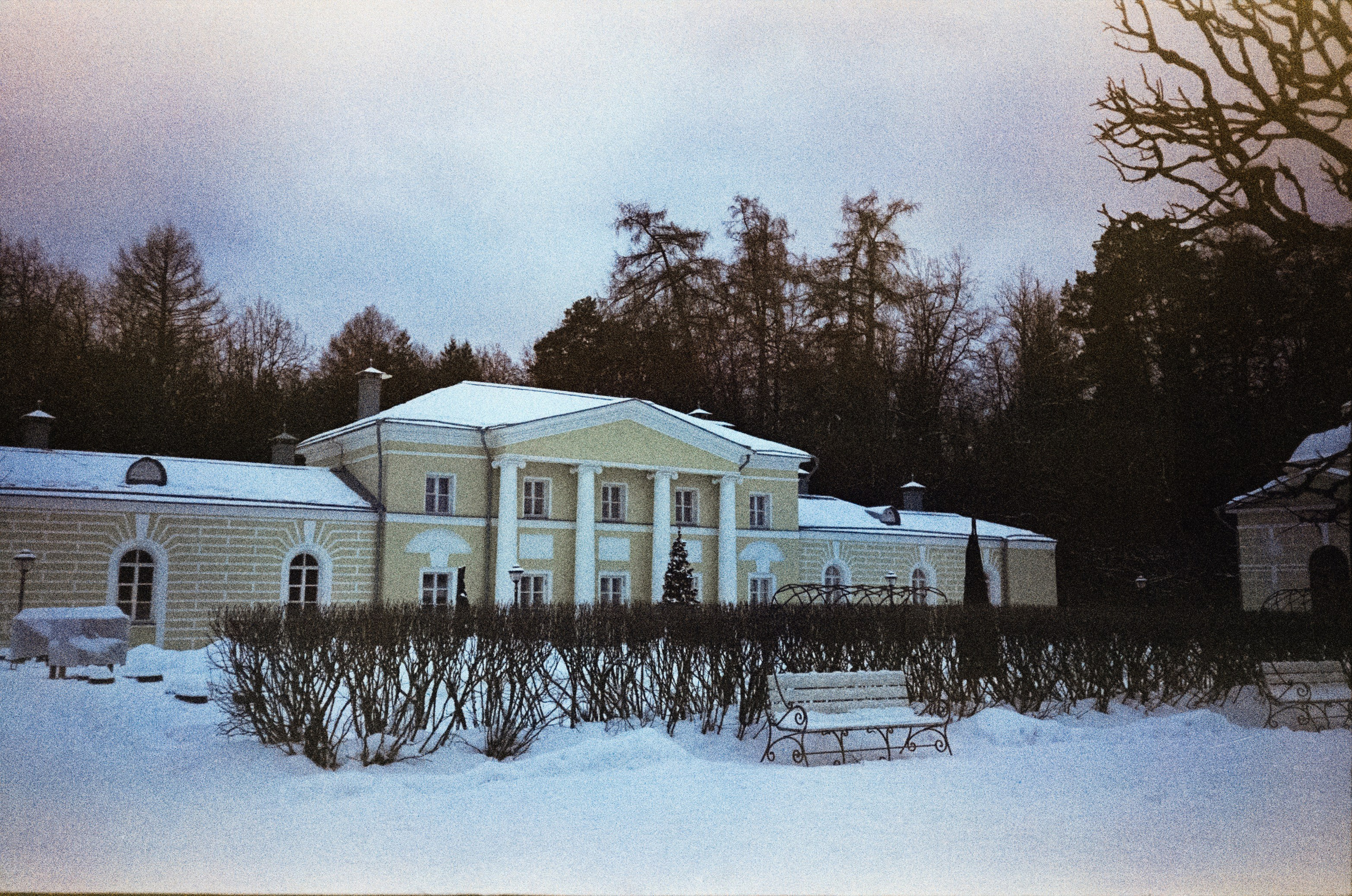 Fujicolor Superia 200 (просрочка) / Cosina CX-1 / 6 января 2025 года Усадьба Архангельское