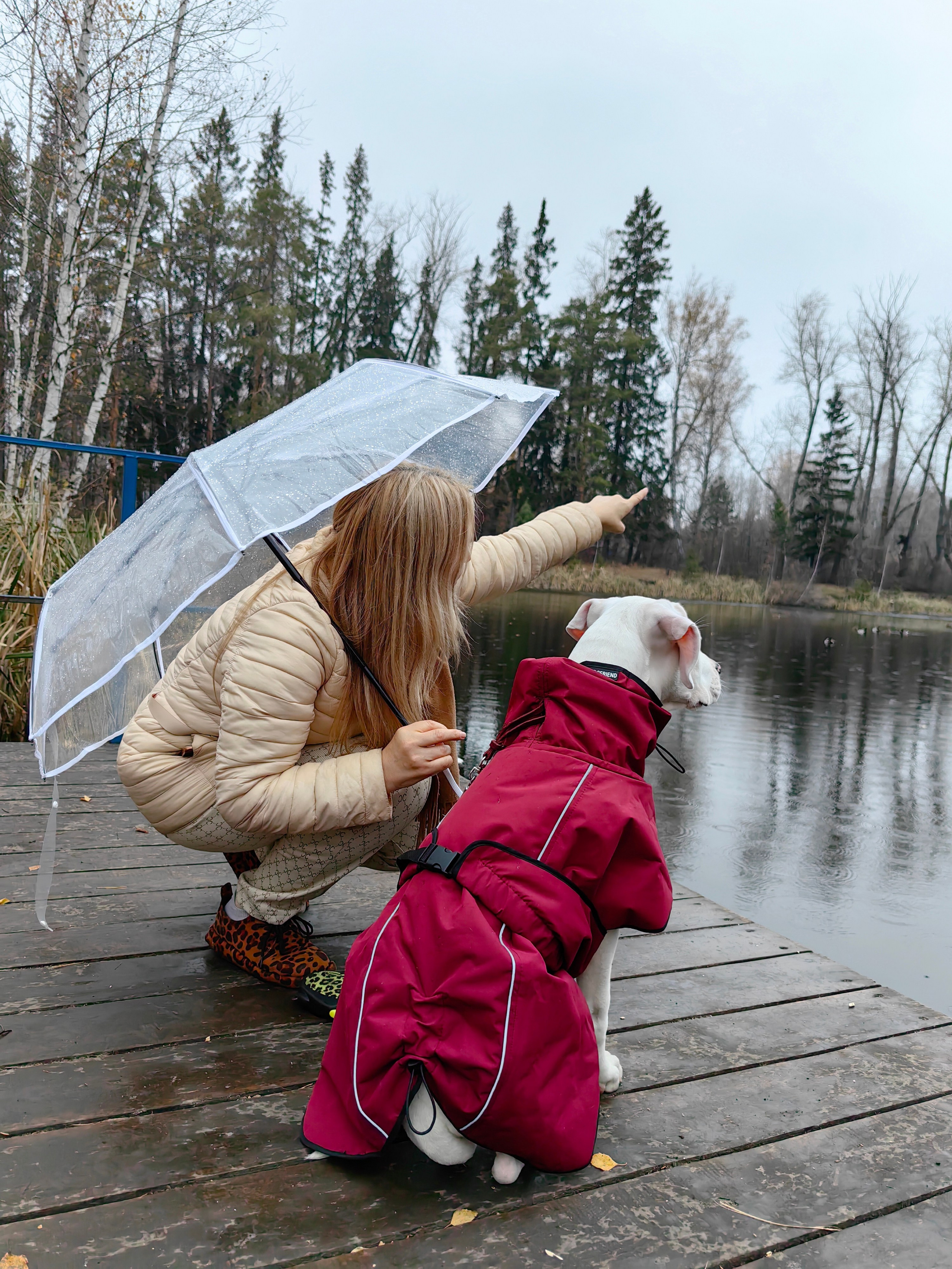 Собаки Орнелла и Проша