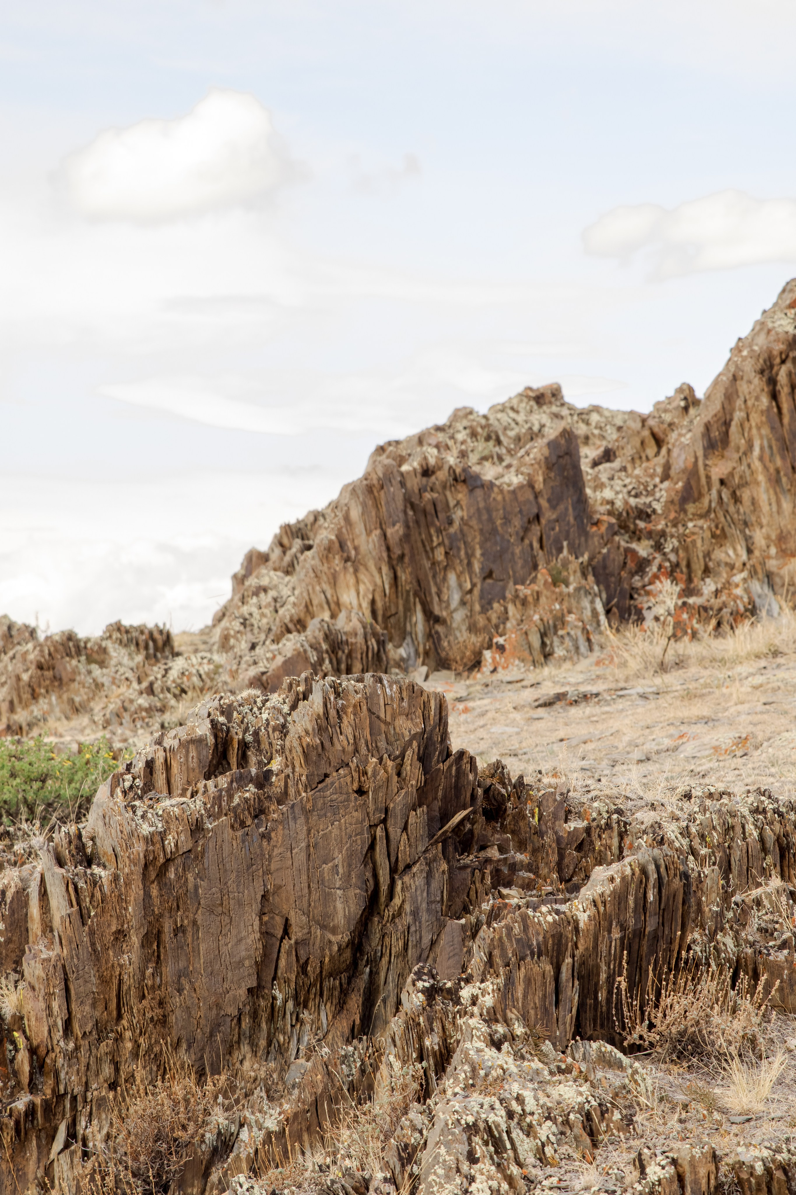 Горный Алтай. Фотограф Кирилл Мешков Кемерово