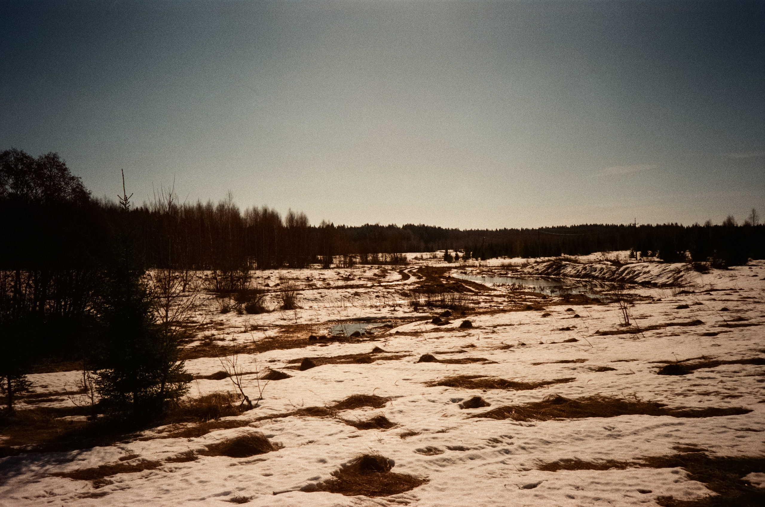 Ricoh FF-300D / Fujifilm X-tra 400 (просрочка) / Лукино март 2024 г