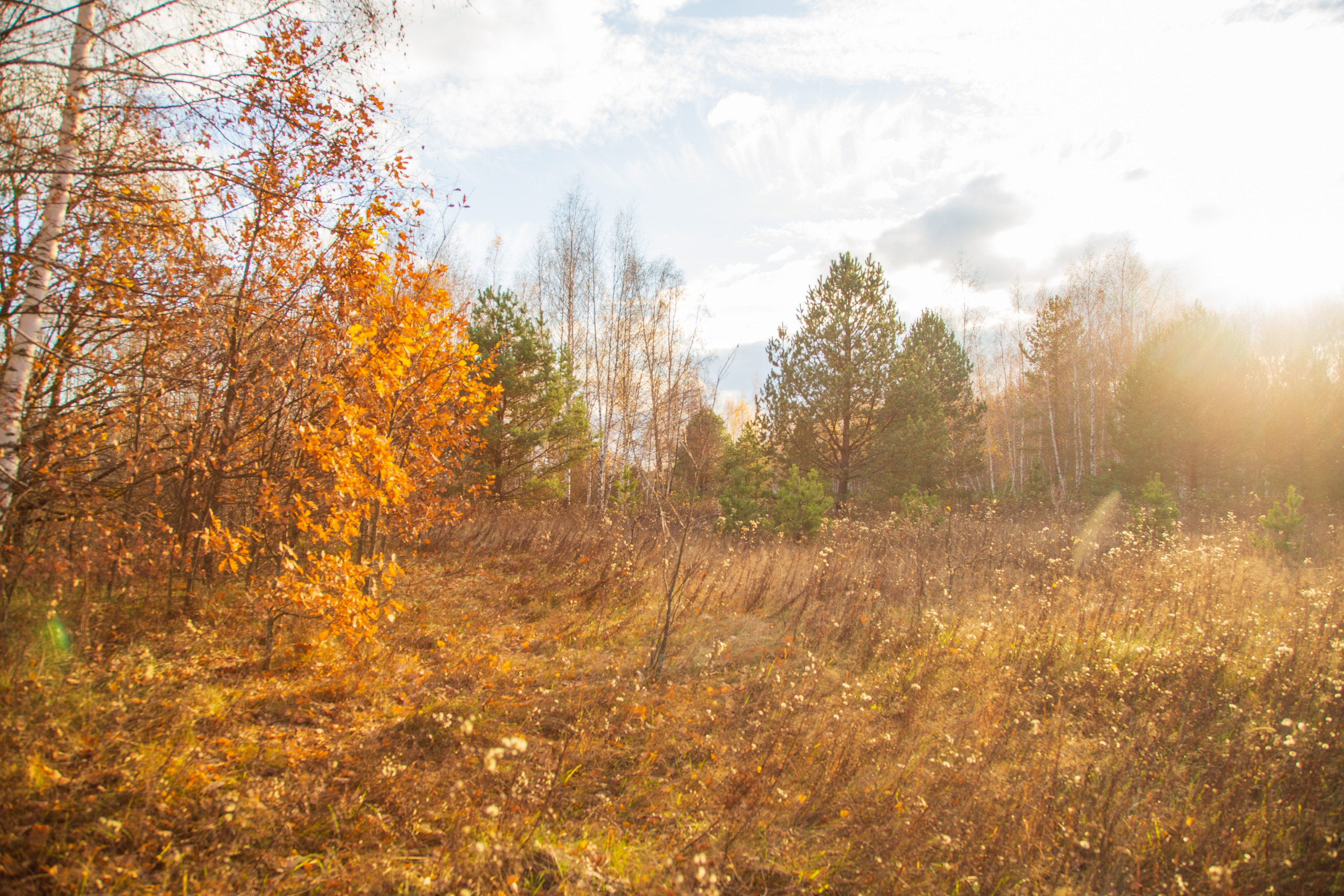 ТВОРЧЕСТВО. Творческая студия АЛНИфото