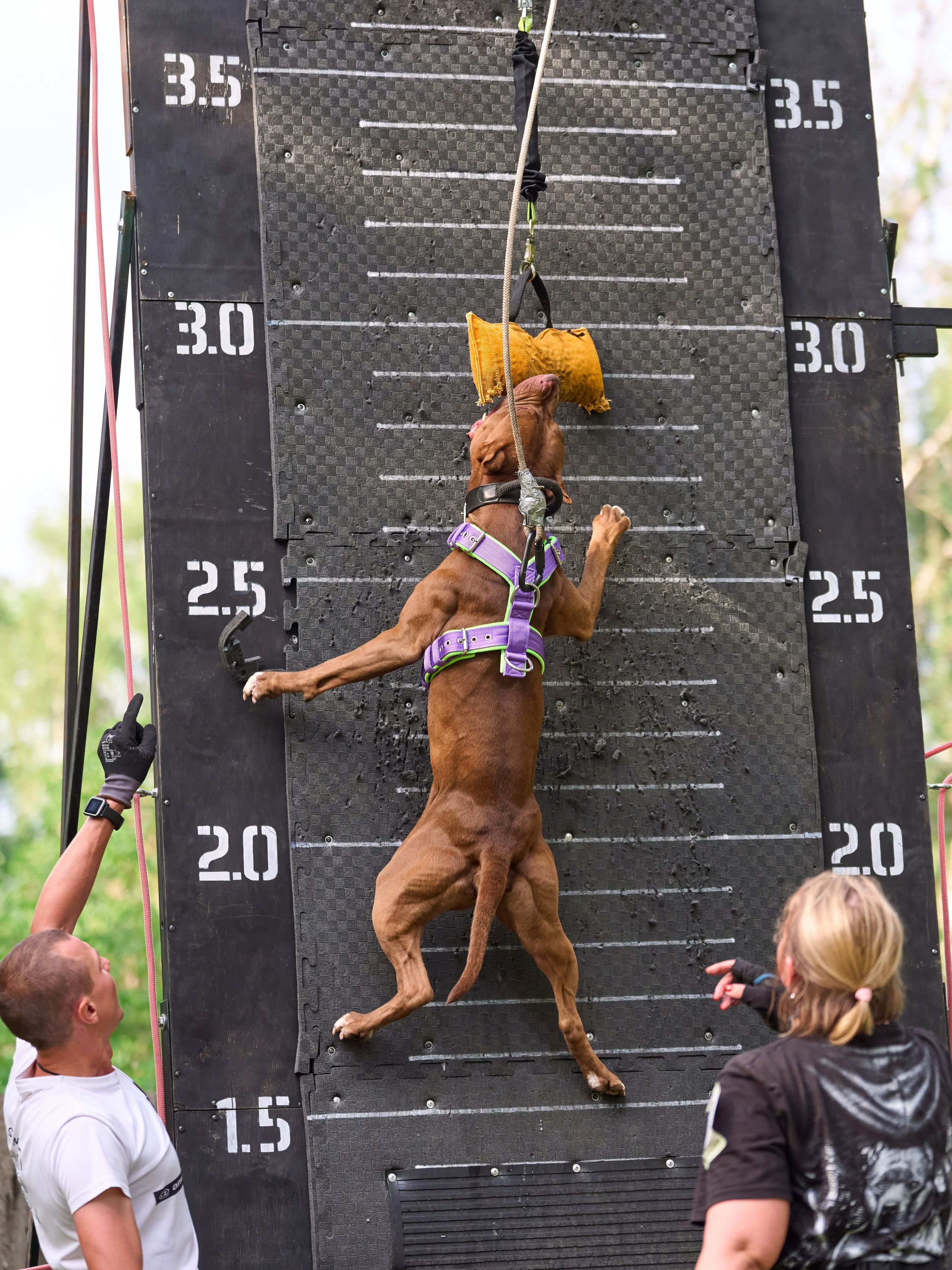 Jump'n'Gym JUMP! — 2024. Фотограф-анималист Михаил Манухин