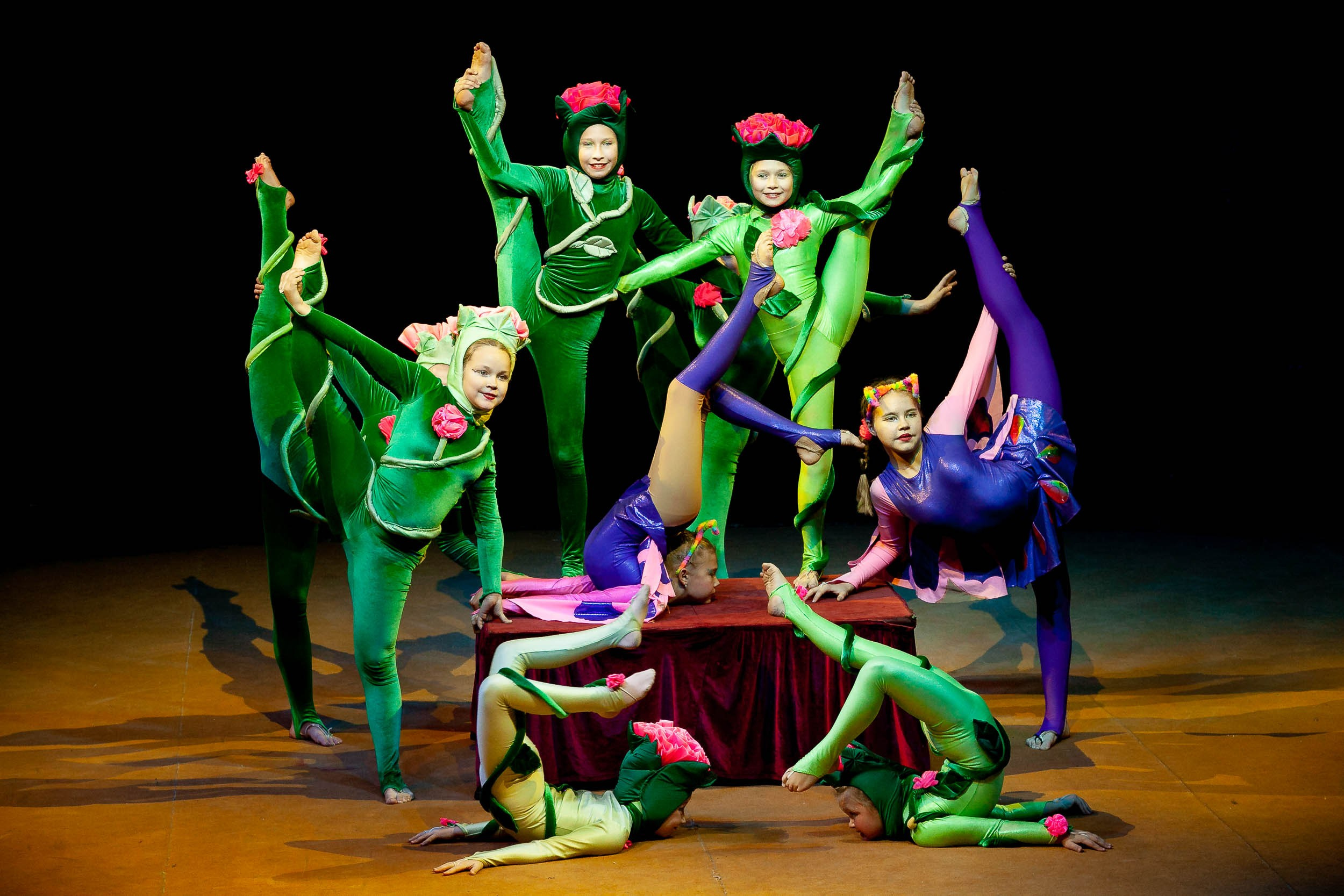 Фотосъемка циркового представления цирка «Креатив»