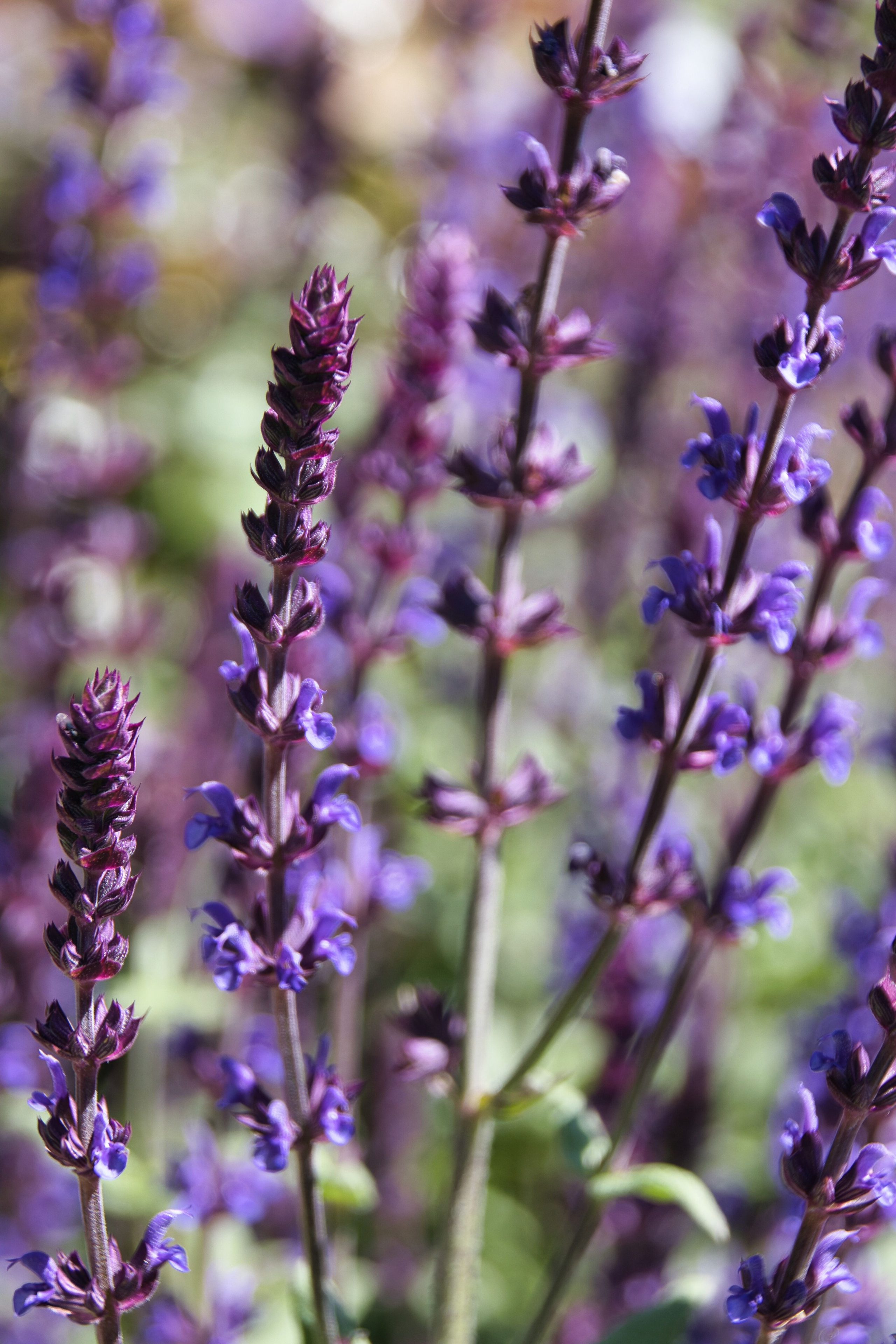 Фотограф в Санкт-Петербурге Георгий Елецких