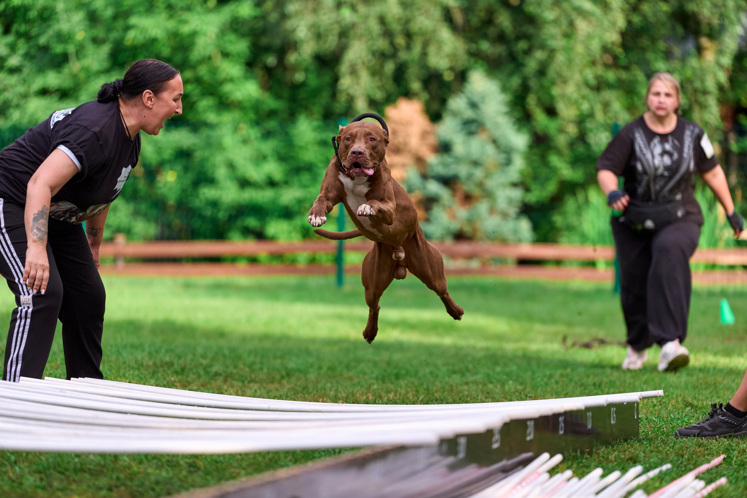 Jump'n'Gym JUMP! — 2024. Фотограф-анималист Михаил Манухин