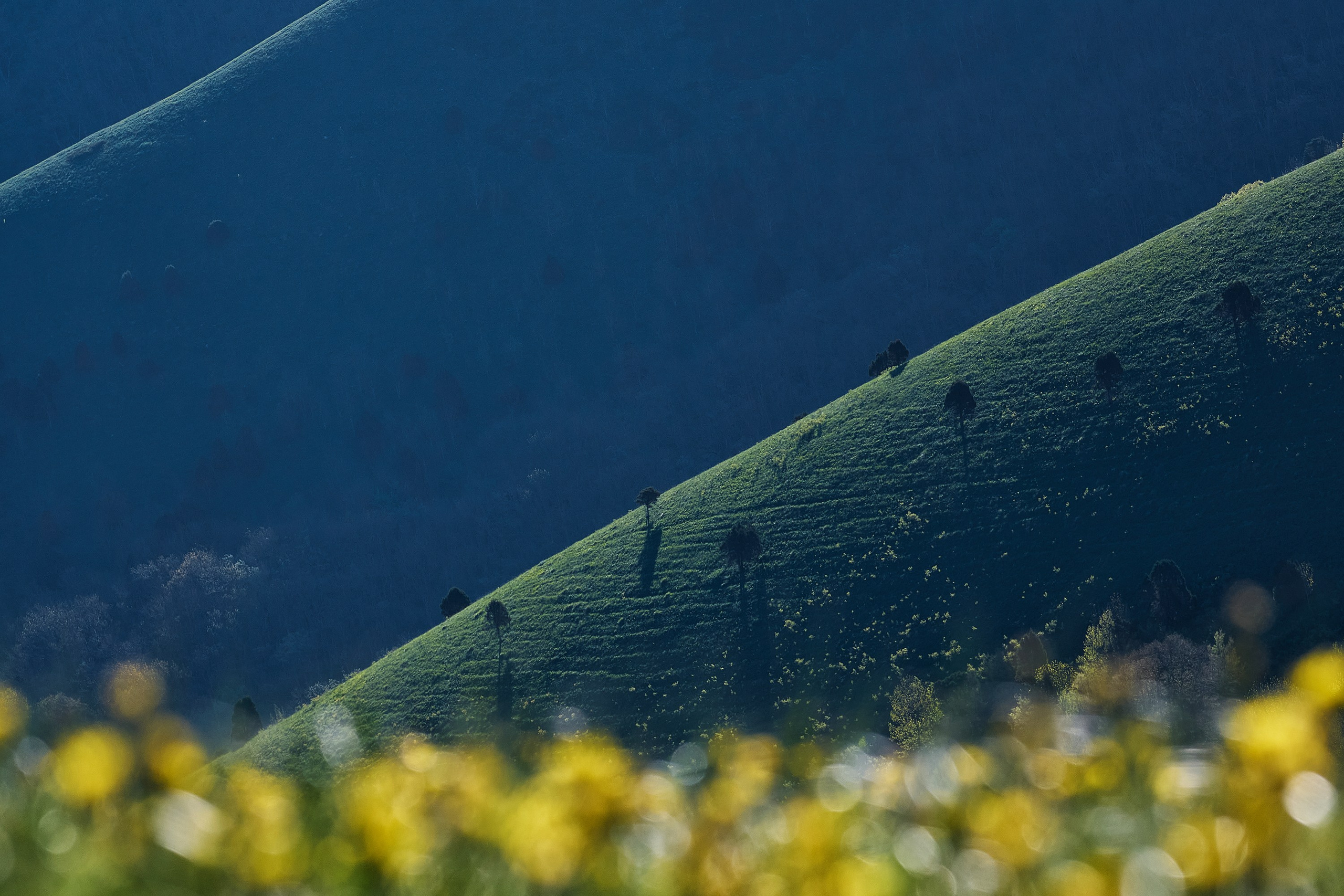 Пейзажи. Яркие фото на Чёрном море