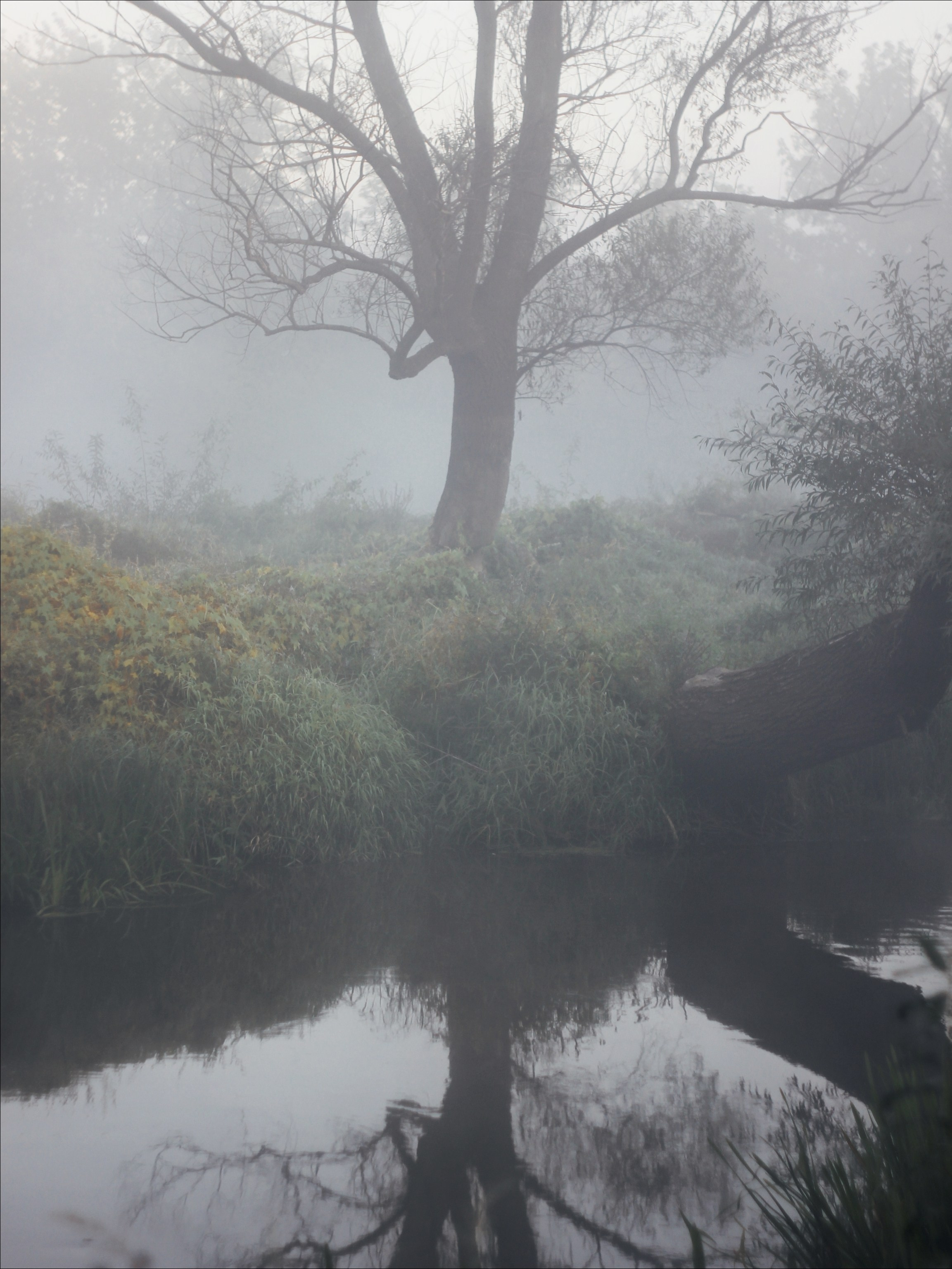 Опустошенность. С любовью, фотохудожник