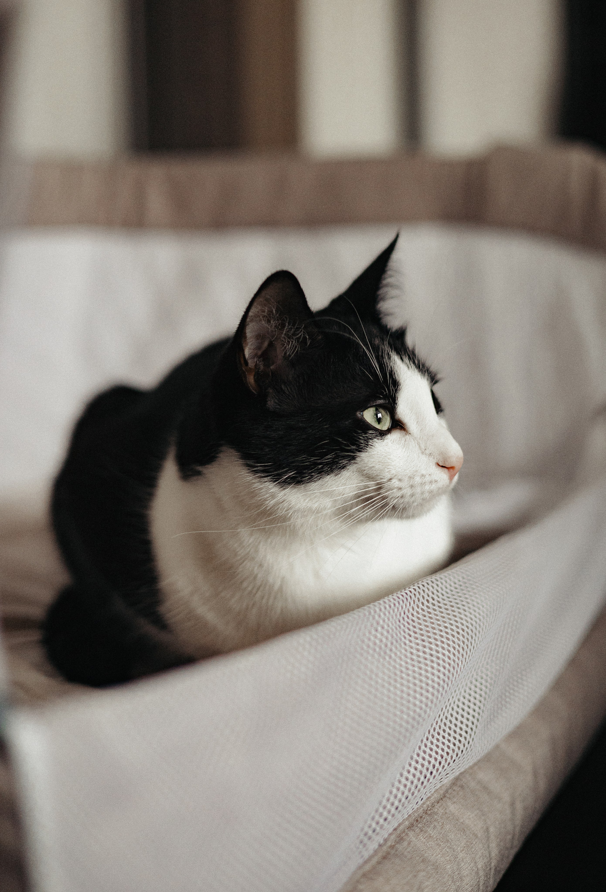 Домашняя семейная фотосессия с малышом. Портретный и семейный фотограф в Москве Мария Рослякова