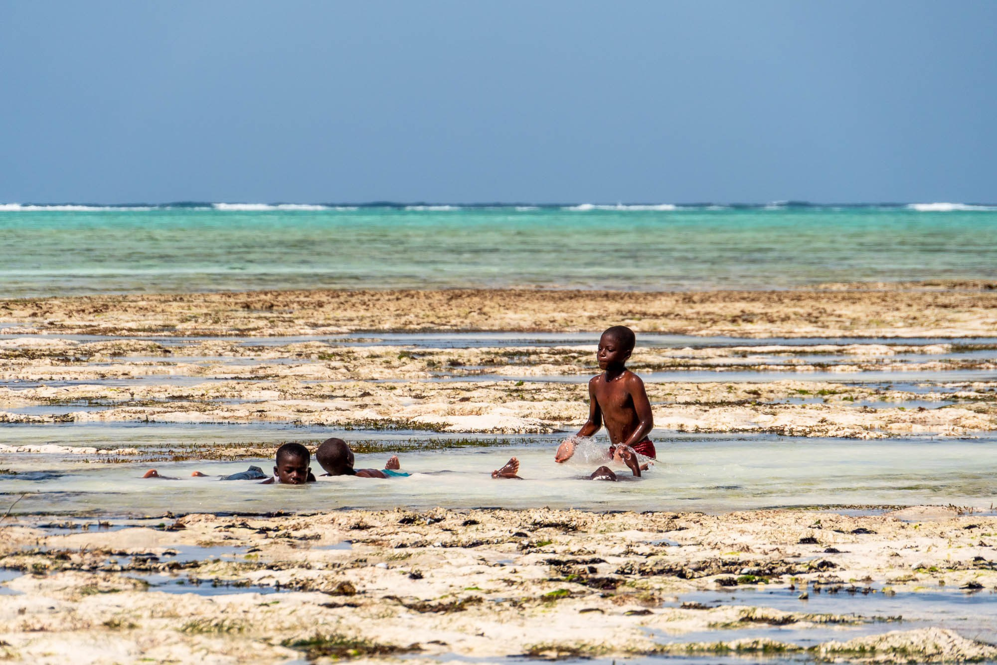 Африка, Танзания, Занзибар, Нунгви. Africa, Tanzania, Zanzibar, Nungwi. Фотограф Алексей Скоробогатько