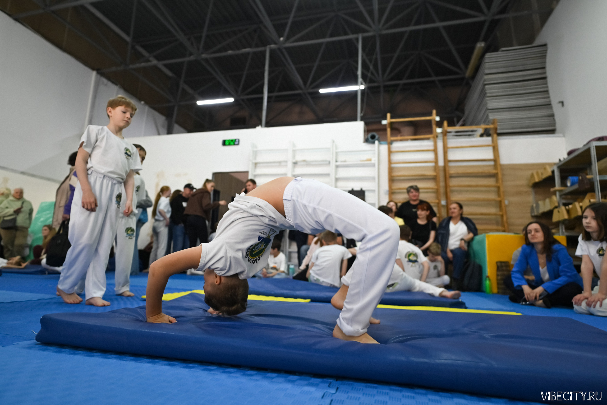 Capoeira: 4-е batizado e Troca de cordao. VIBECITY.RU Вайб Сити Ру Фоторепортажи Фотоотчеты Калининград
