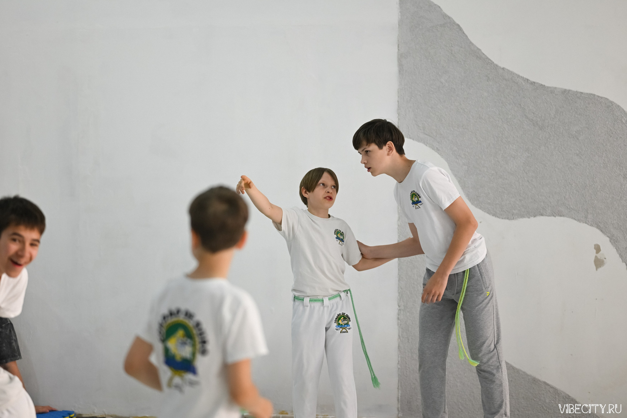 Capoeira: 4-е batizado e Troca de cordao. VIBECITY.RU Вайб Сити Ру Фоторепортажи Фотоотчеты Калининград