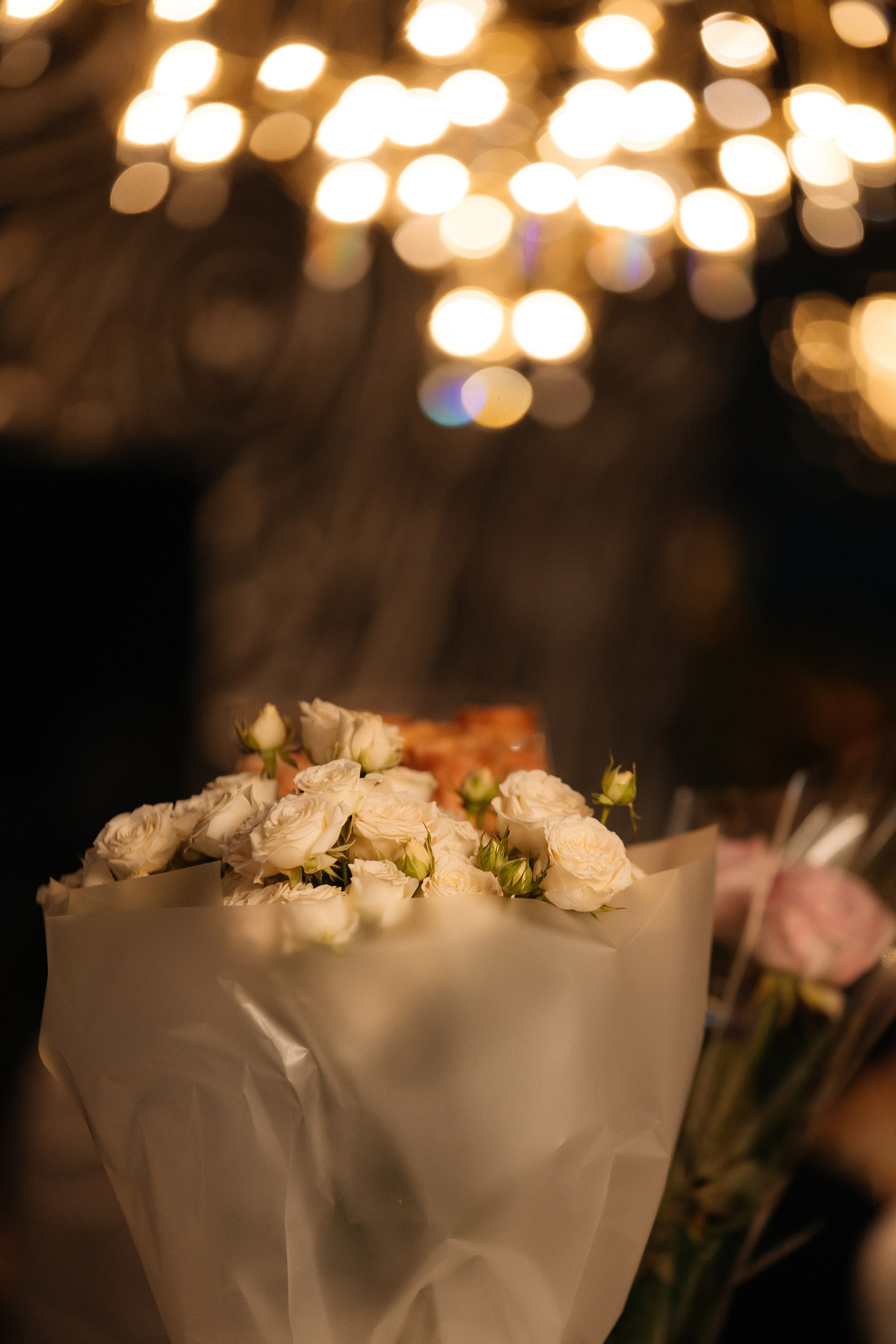 Все виды съёмок. Фотограф Таганрог Хребет София