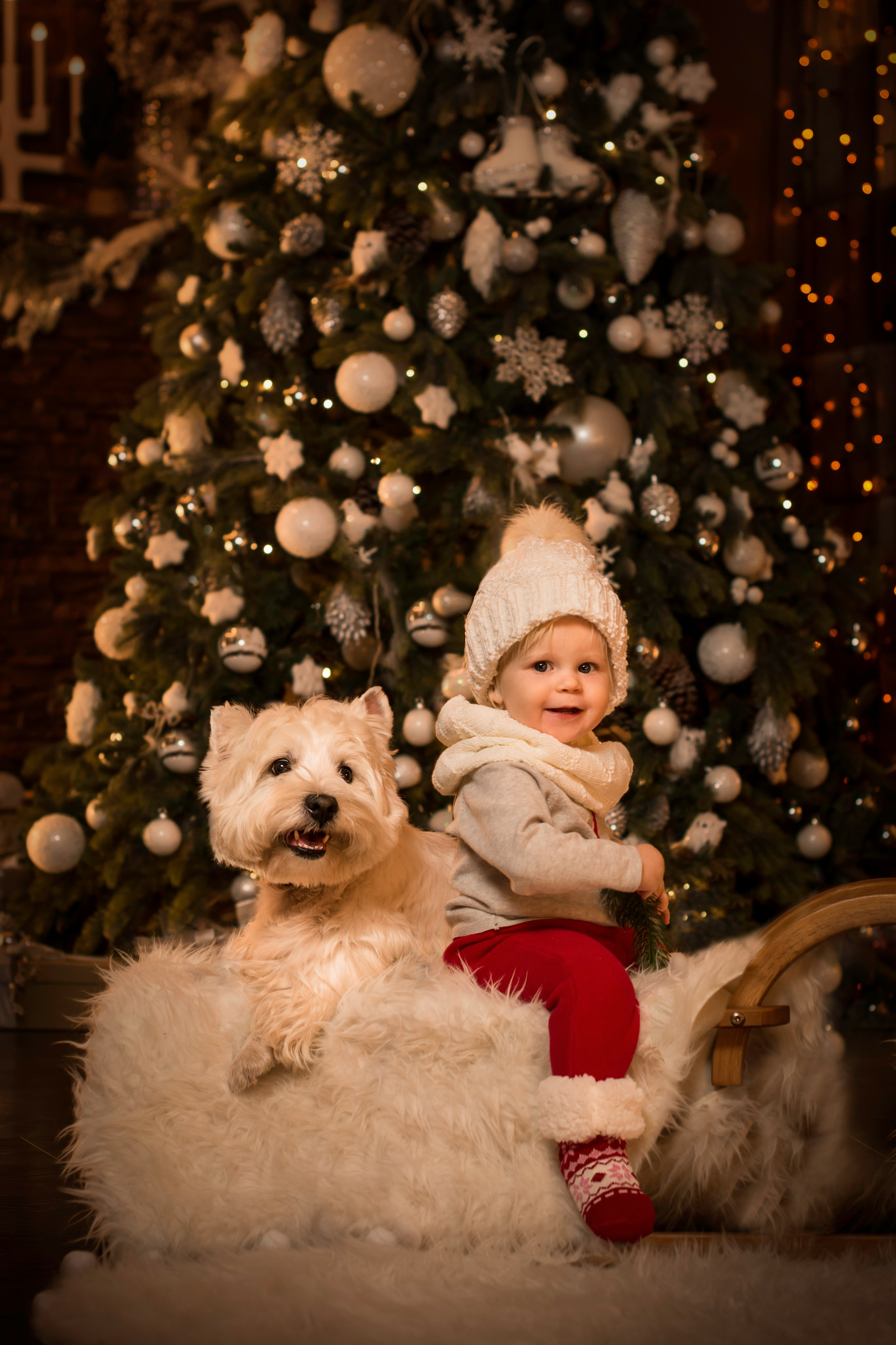 🎄 Новогодняя семейная фотосессия в студии. Фотосессия беременности — Крылова Натали — Москва