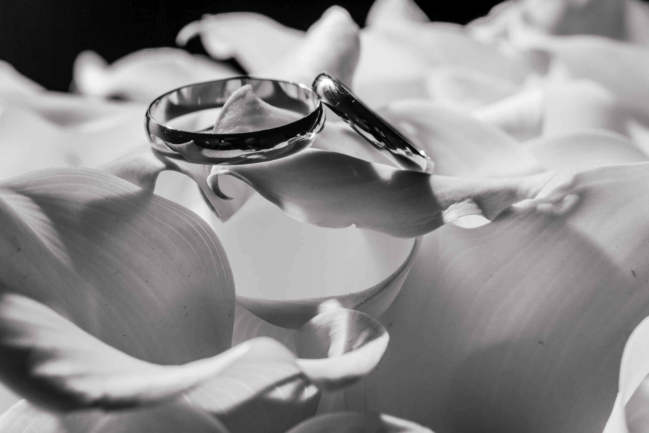 Егор и Ольга, любовь на высоте!. Свадебный фотограф Дмитрий Гладков