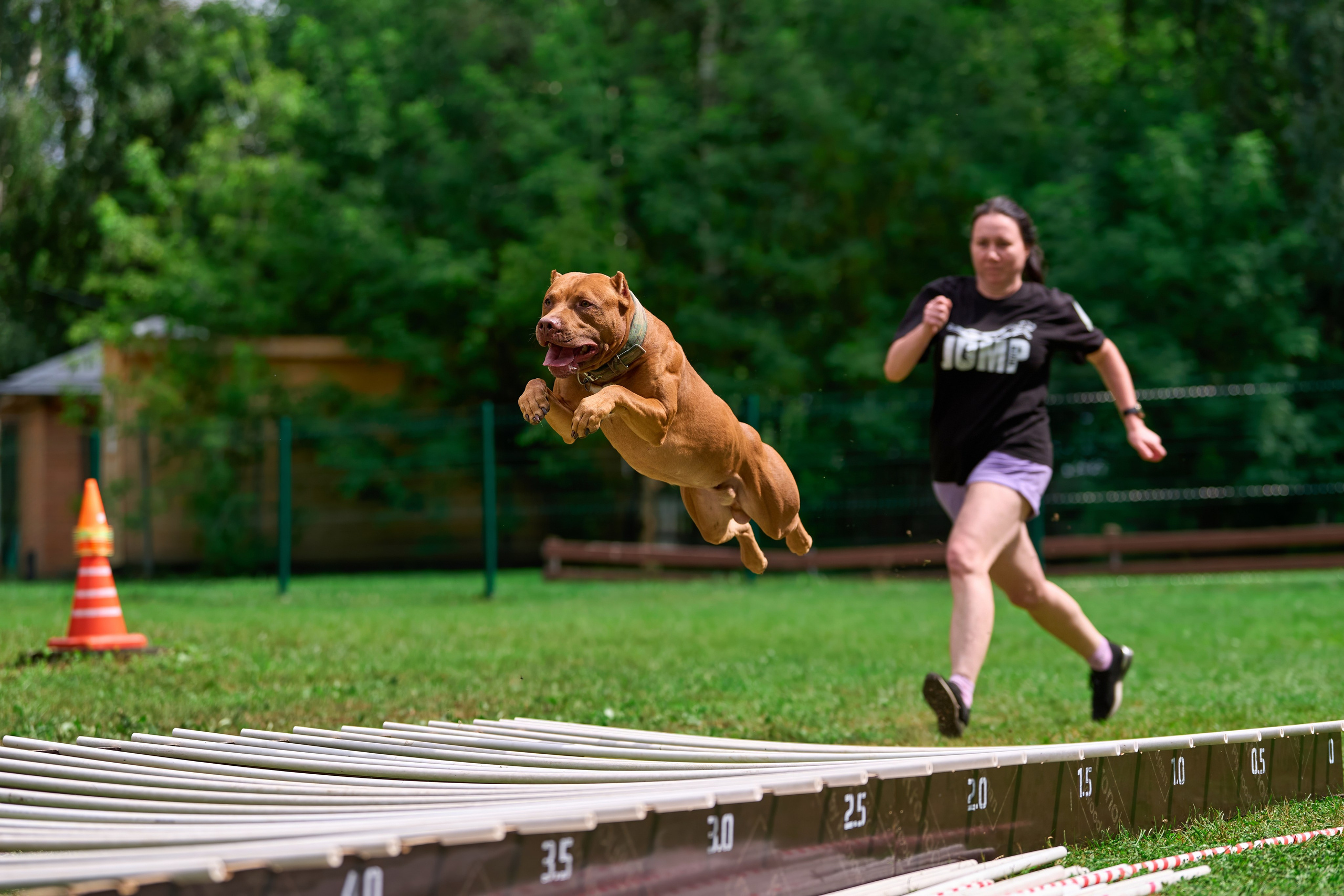 Jump'n'Gym JUMP! — 2024. Фотограф-анималист Михаил Манухин