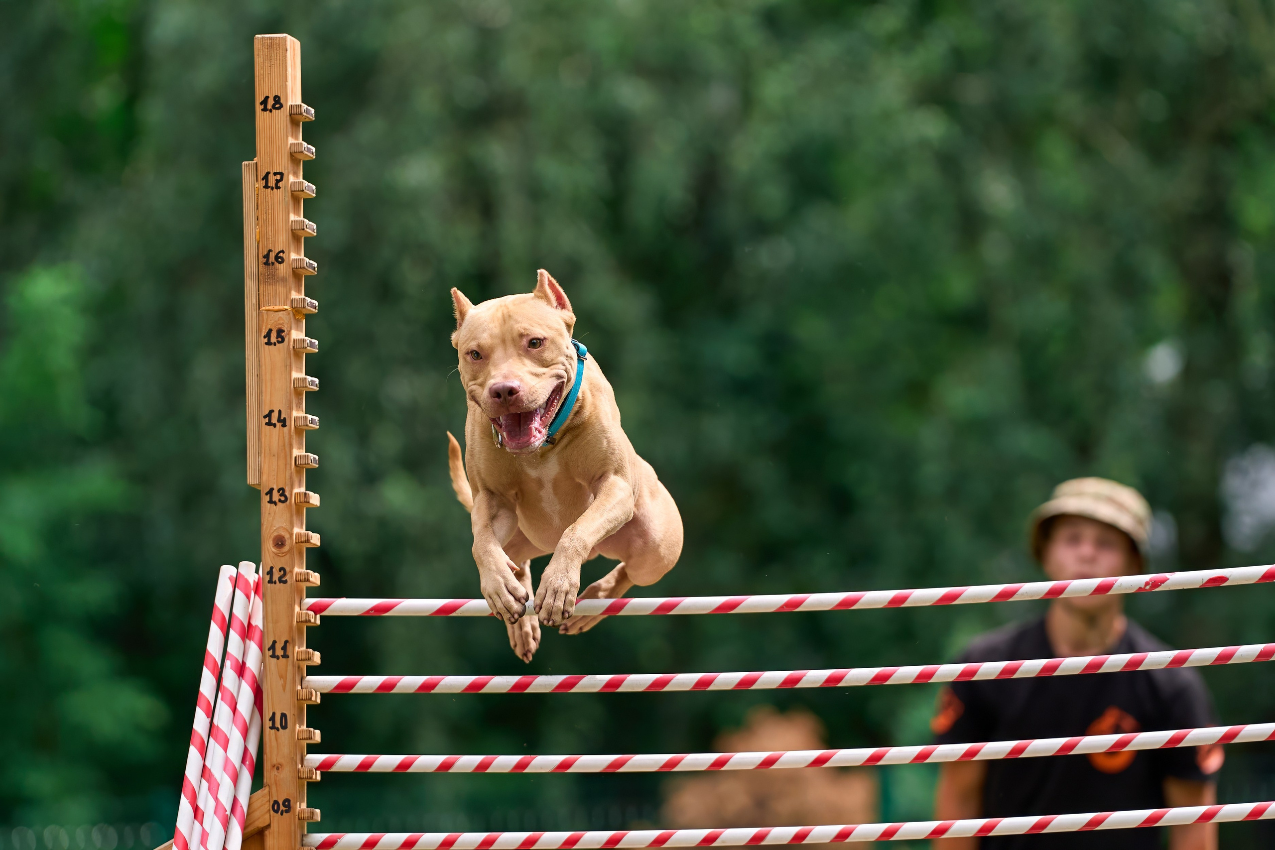 Jump'n'Gym JUMP! — 2024. Фотограф-анималист Михаил Манухин
